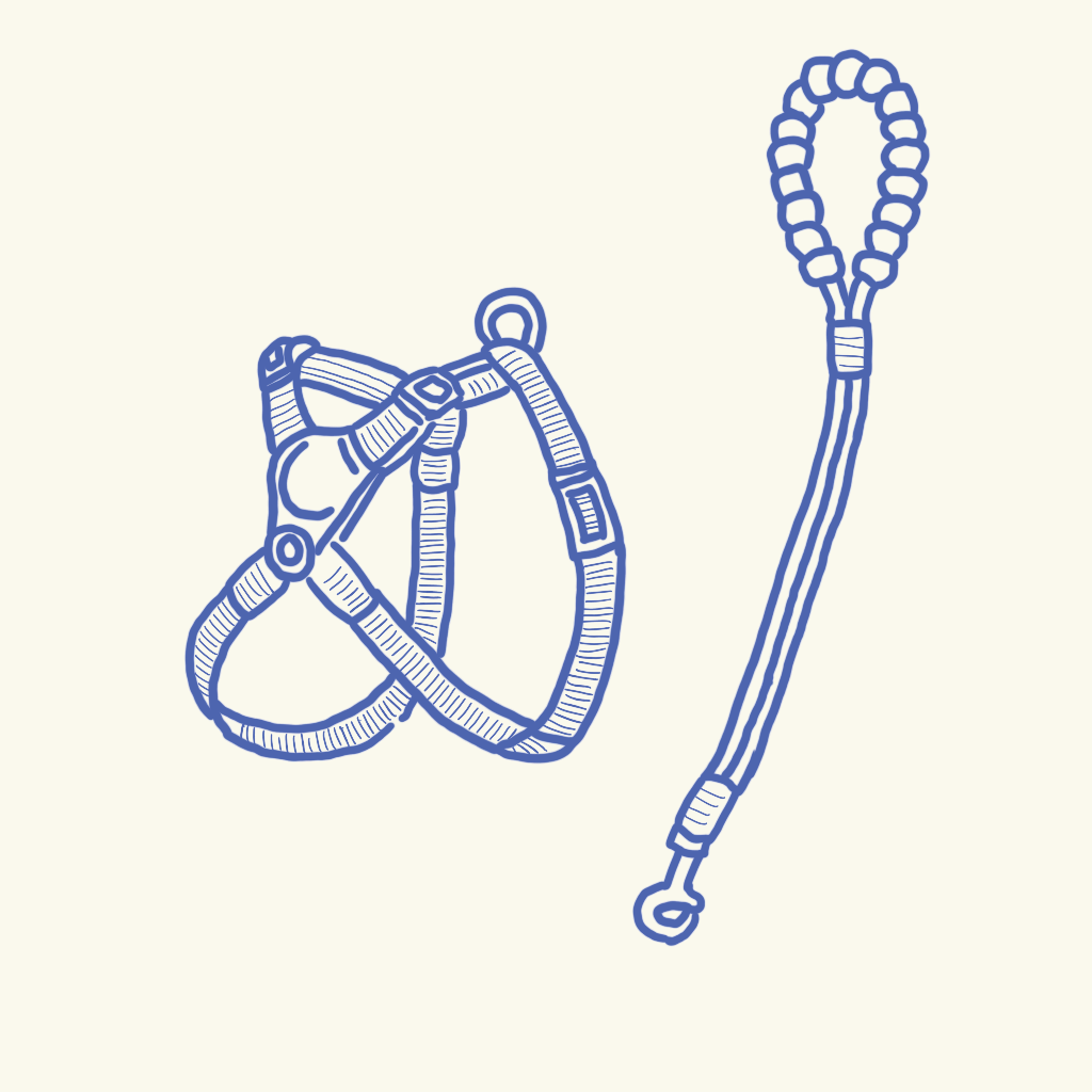 Harness & Leash
