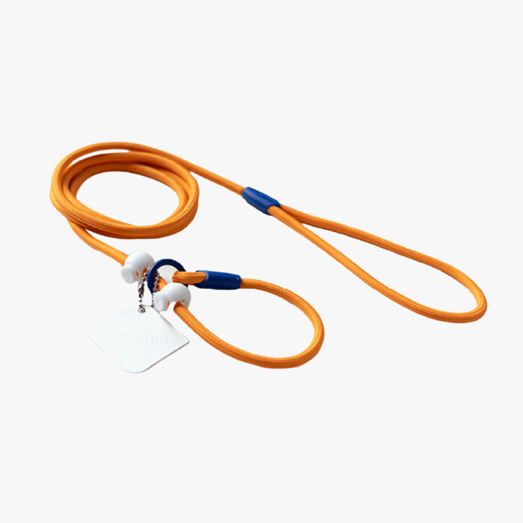 Slip Lead Dog Leash – Rainbow Paradise Series