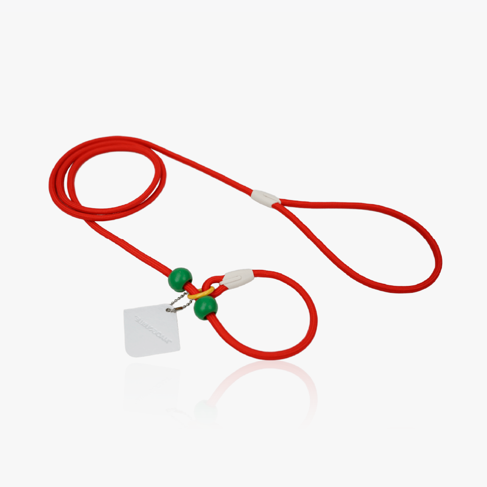 Slip Lead Dog Leash Rainbow Paradise Series