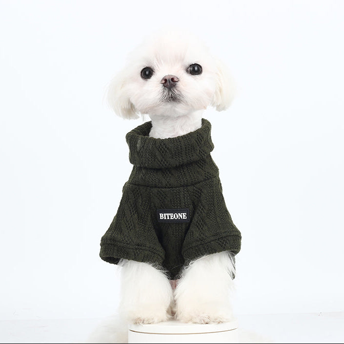 Deep Sea Moss Turtleneck Sweater