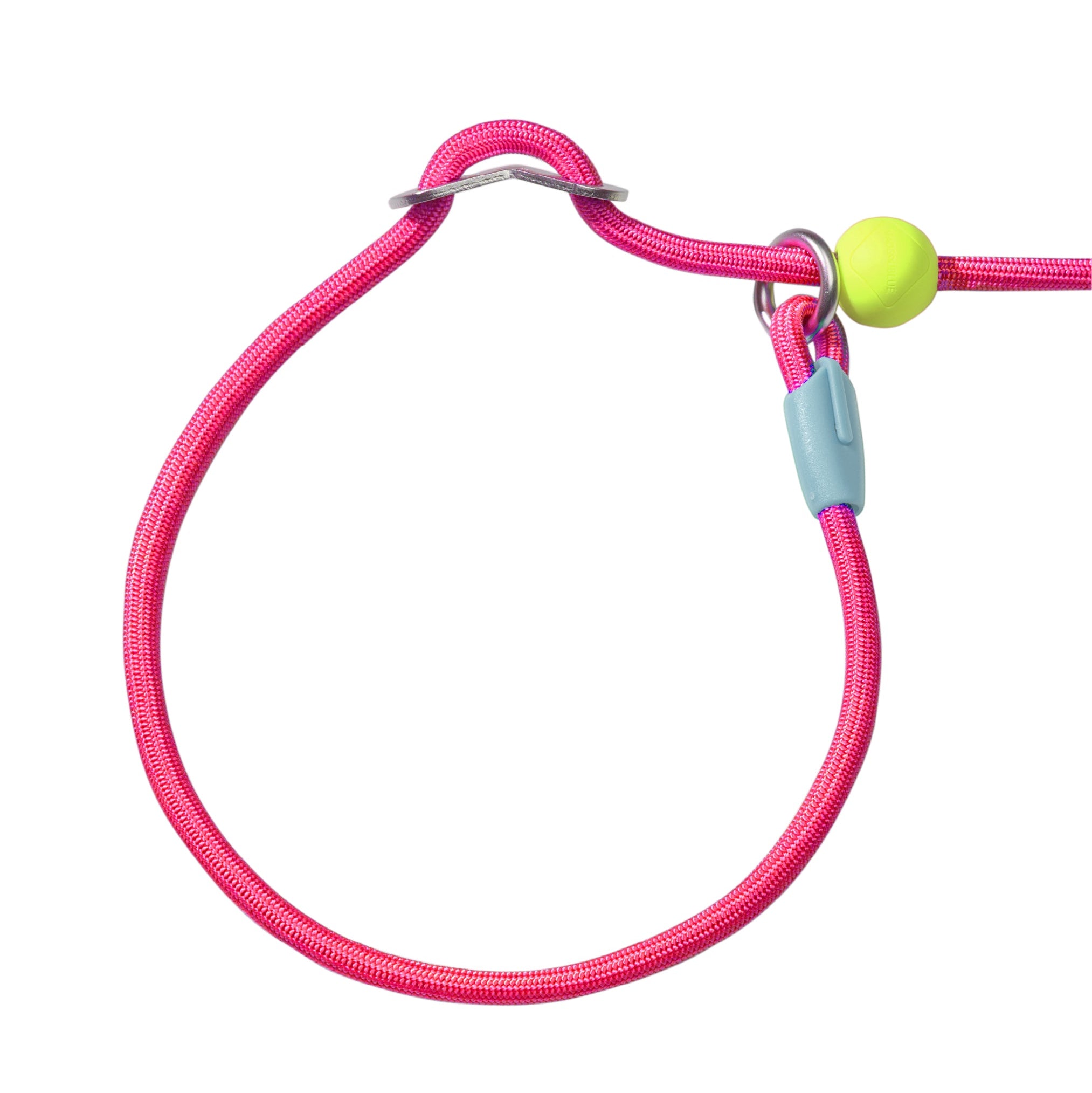 Slip Lead Dog Leash Candy Series