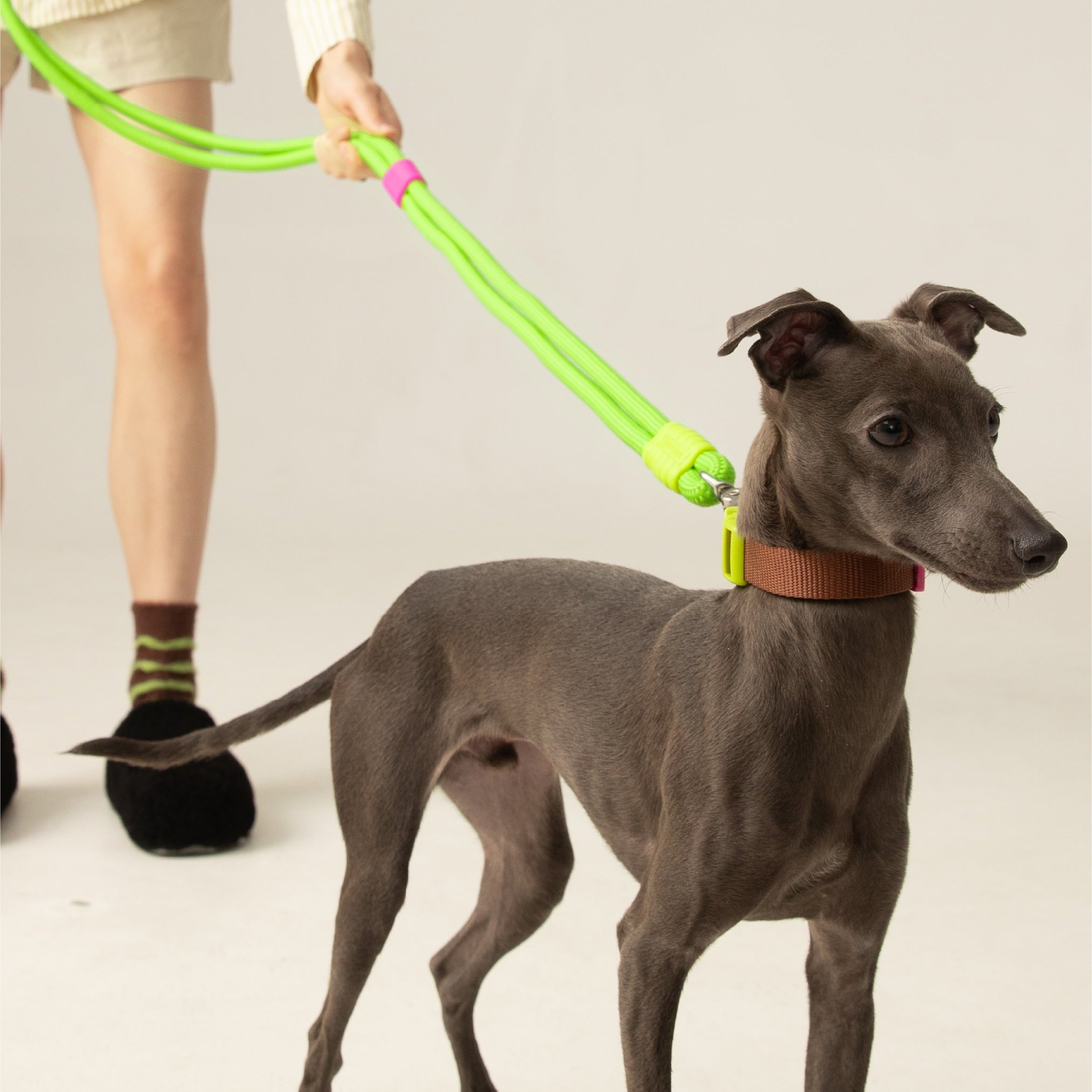 Hands-Free Marshmallow STANDARD Series Dog Leash (Convertible to Slip Lead)