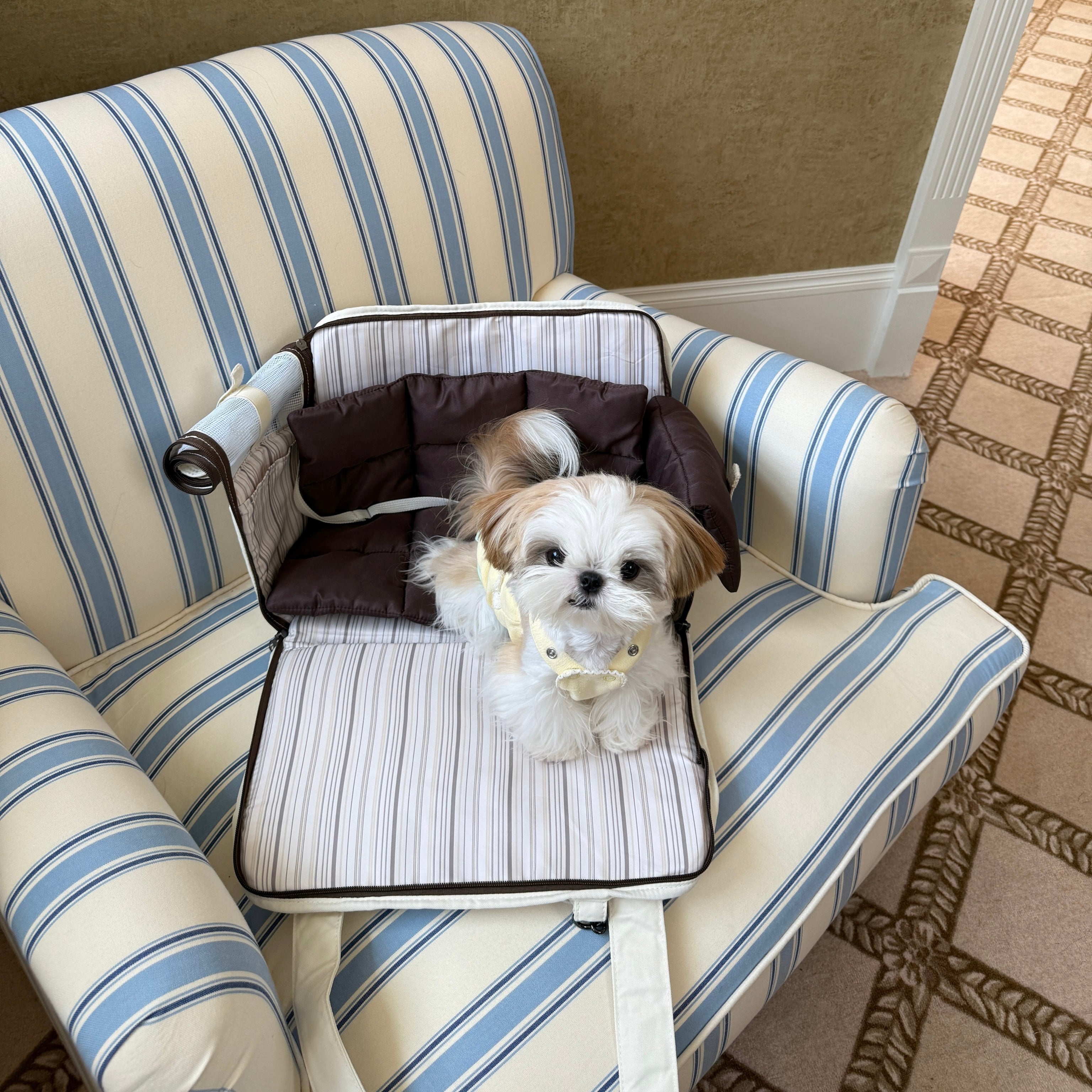 Pet Carrier & Travel Bed