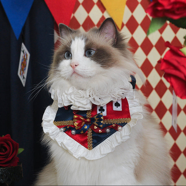 Alice Royal Lace Collar