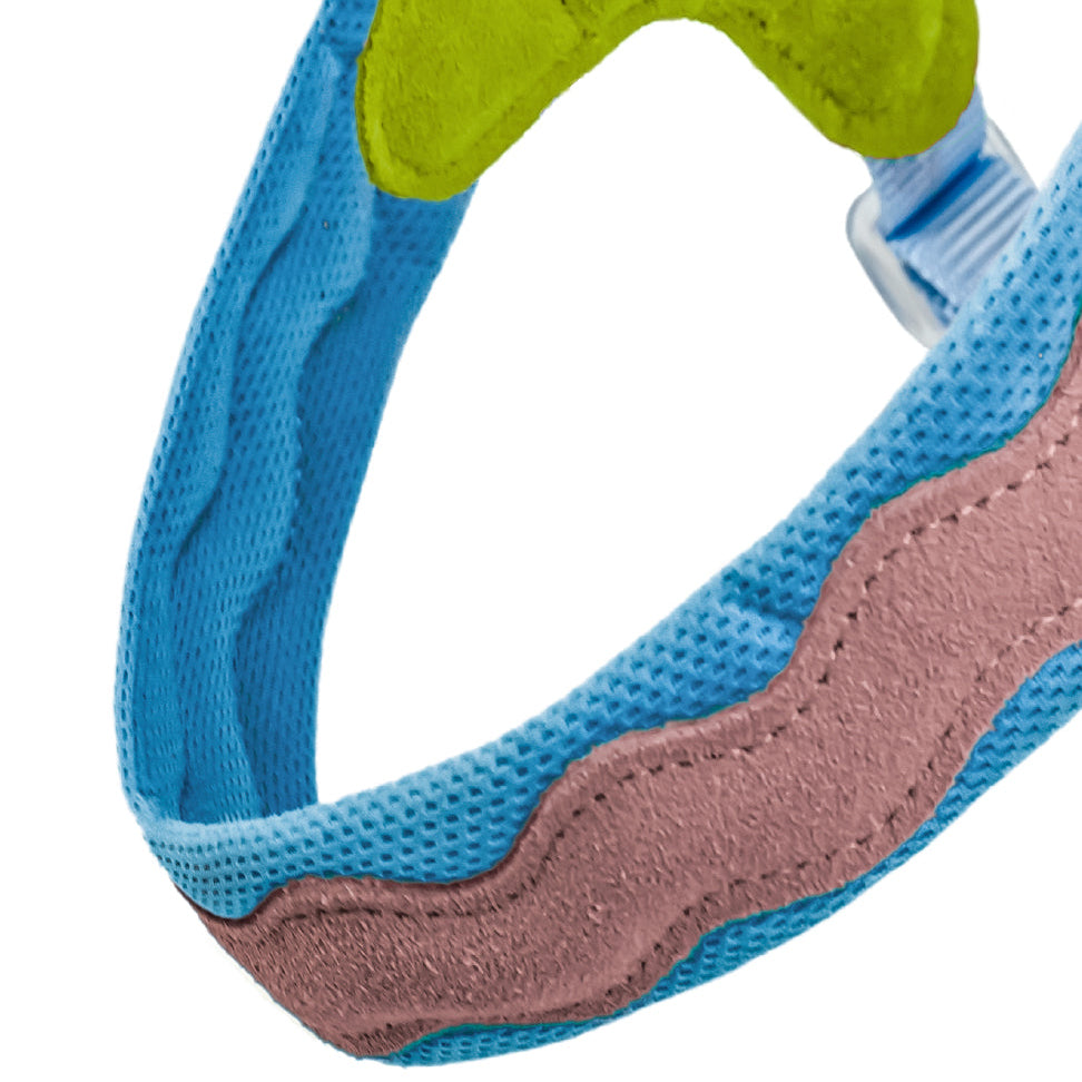 Irish Coast Vibe Dog Harness