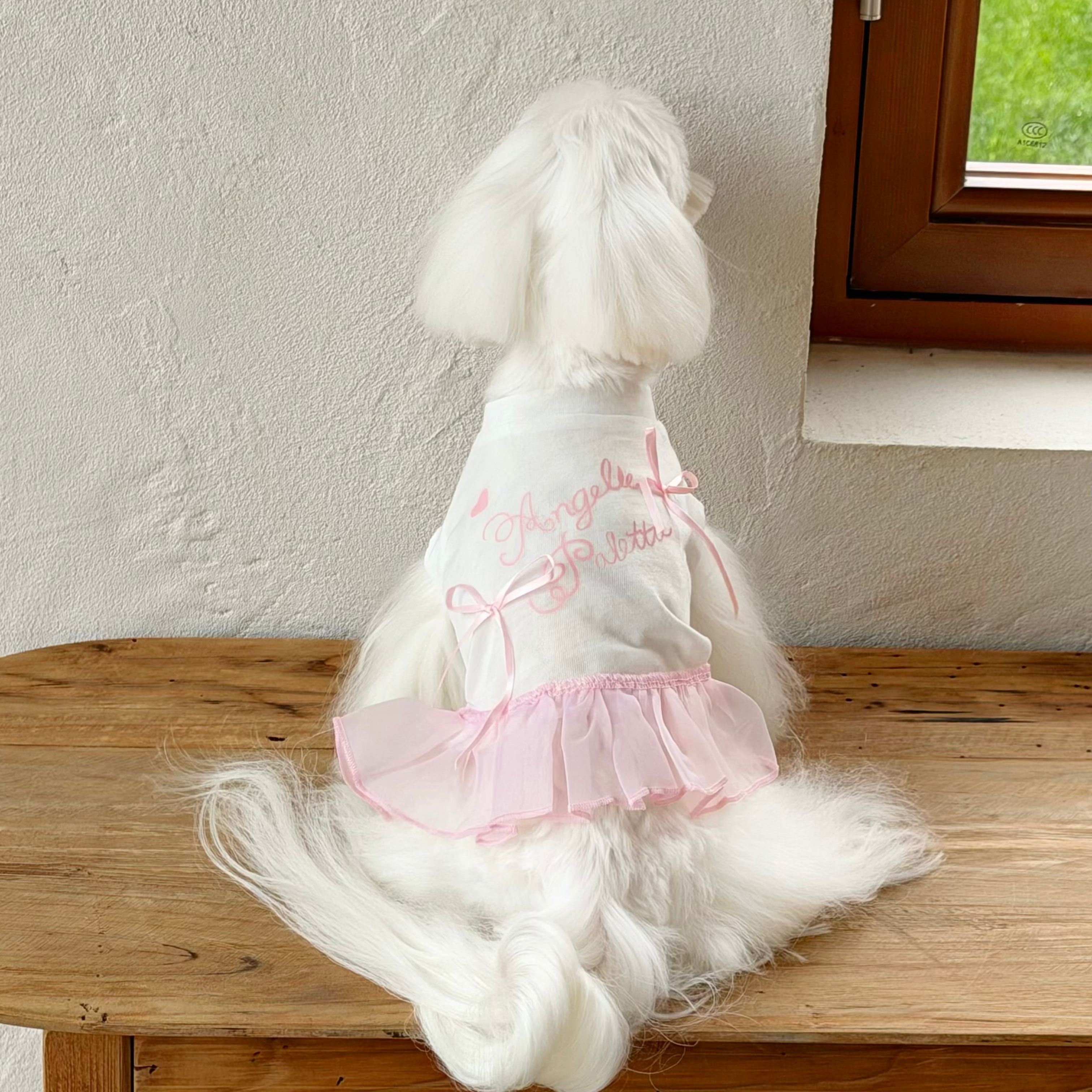 Sweet Bow Lace Dress