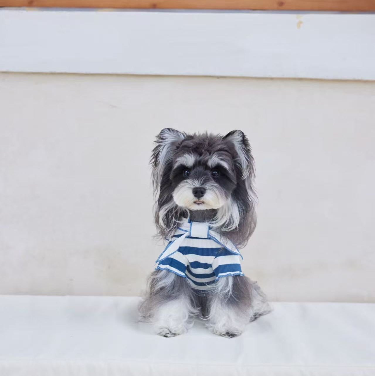 Bon Voyage Dress