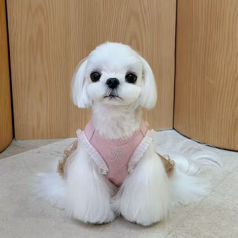Pink Teddy Bear Dress