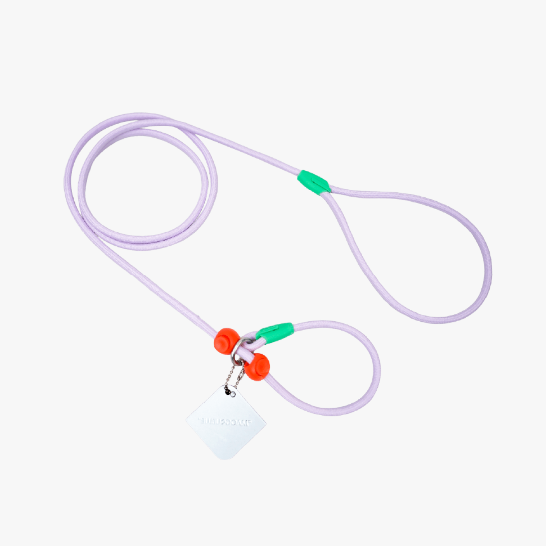 Slip Lead Dog Leash – Rainbow Paradise Series