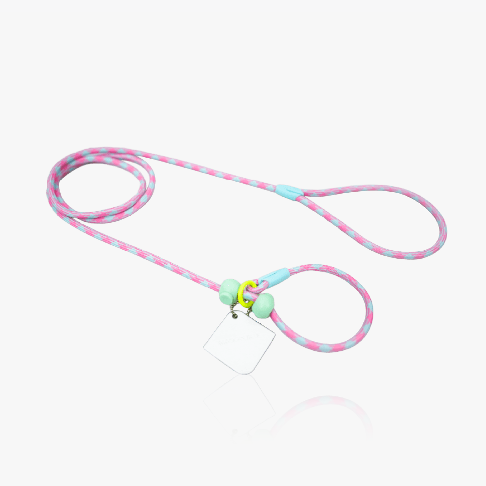 Slip Lead Dog Leash Rainbow Paradise Series