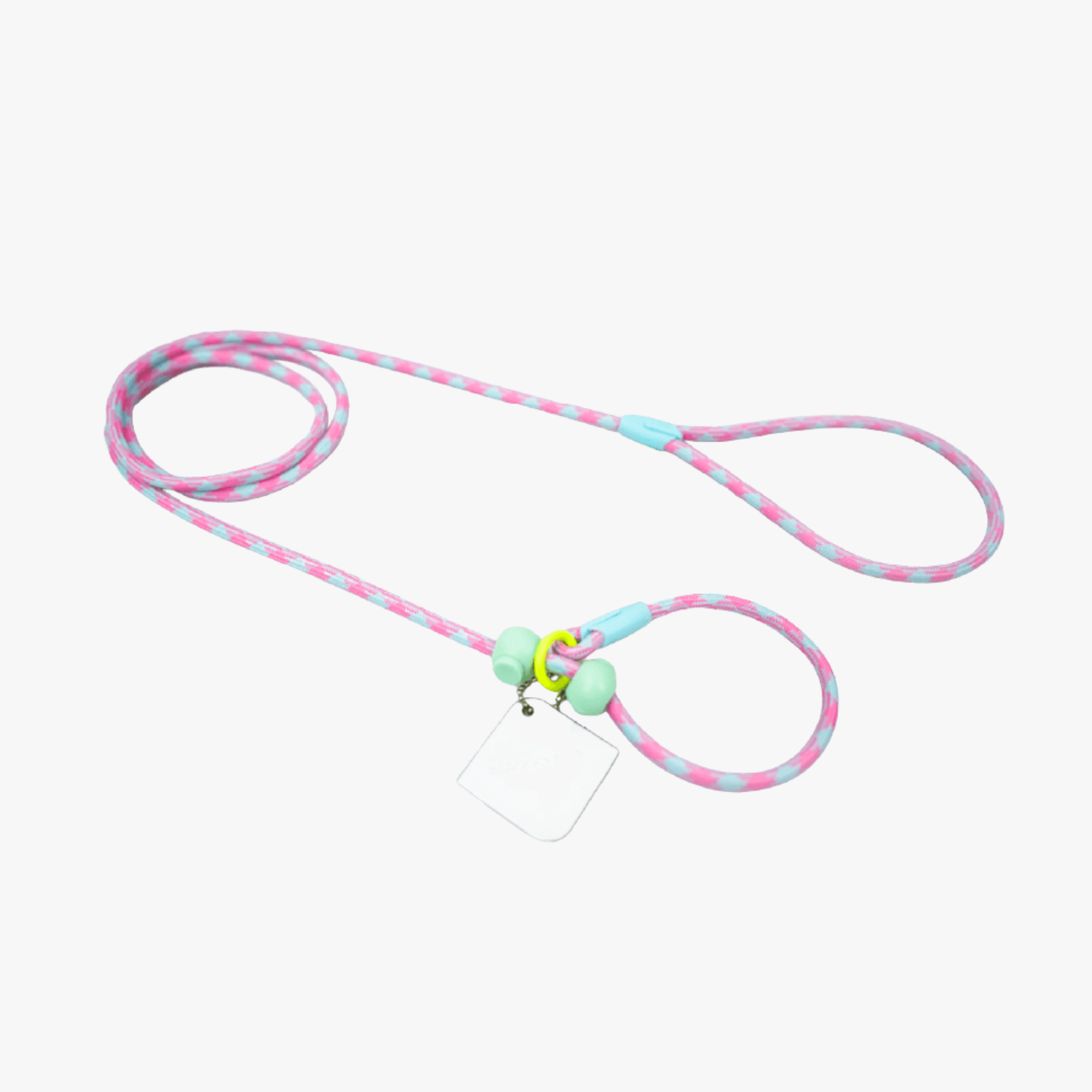 Slip Lead Dog Leash – Rainbow Paradise Series