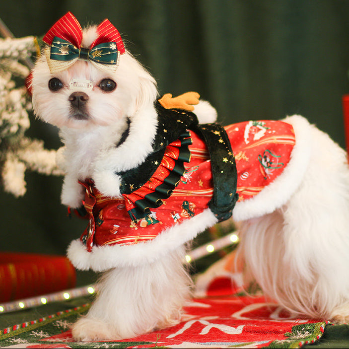 Dream Knight Christmas Holiday Coat