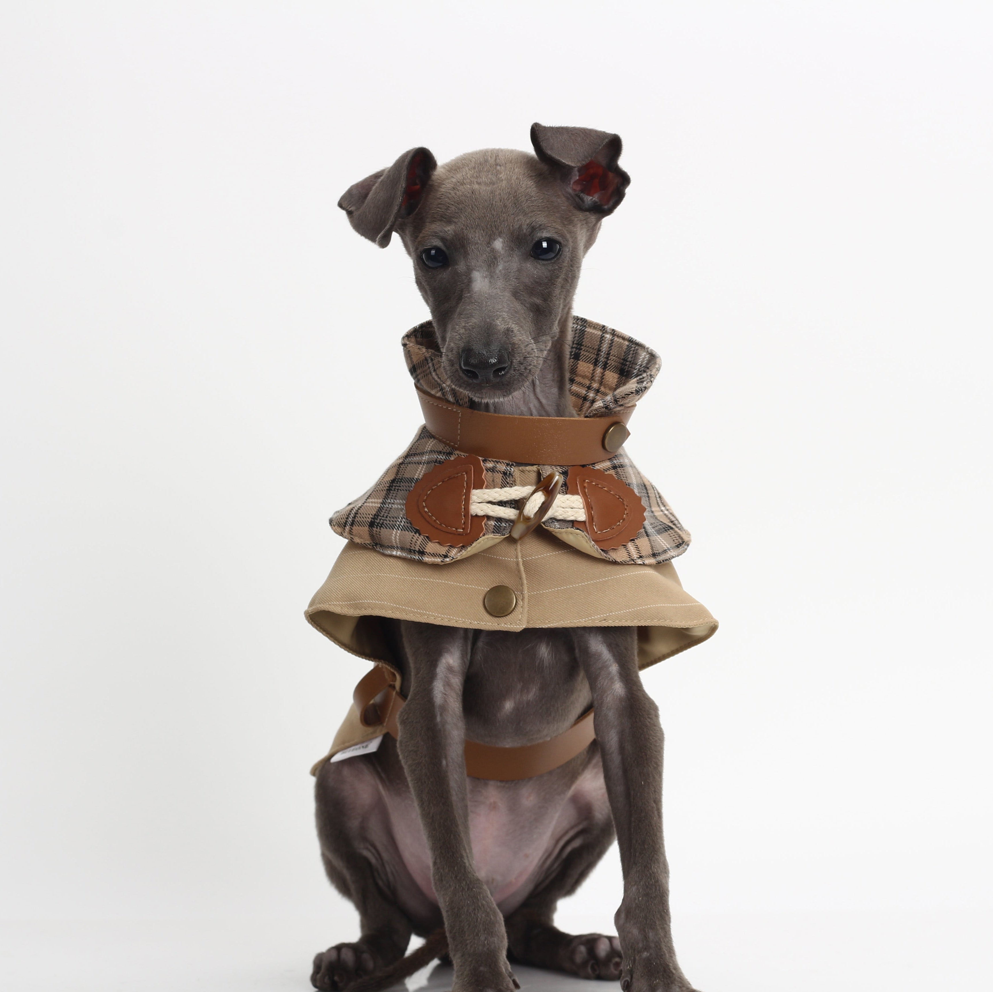 Dream of Baker Street Trench Coat (Leash-Attachable Pet Windbreaker）
