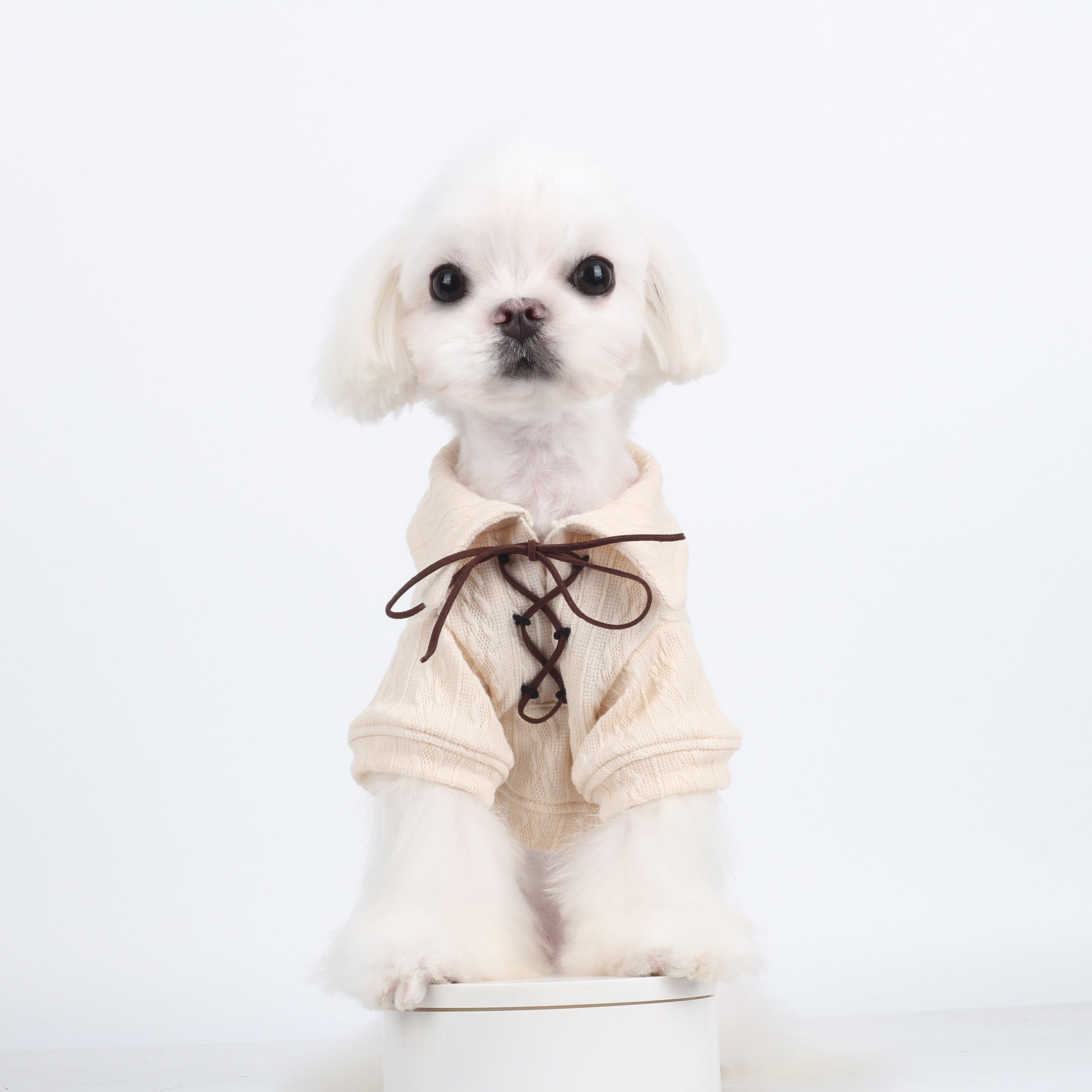 White Aviator Knit Top