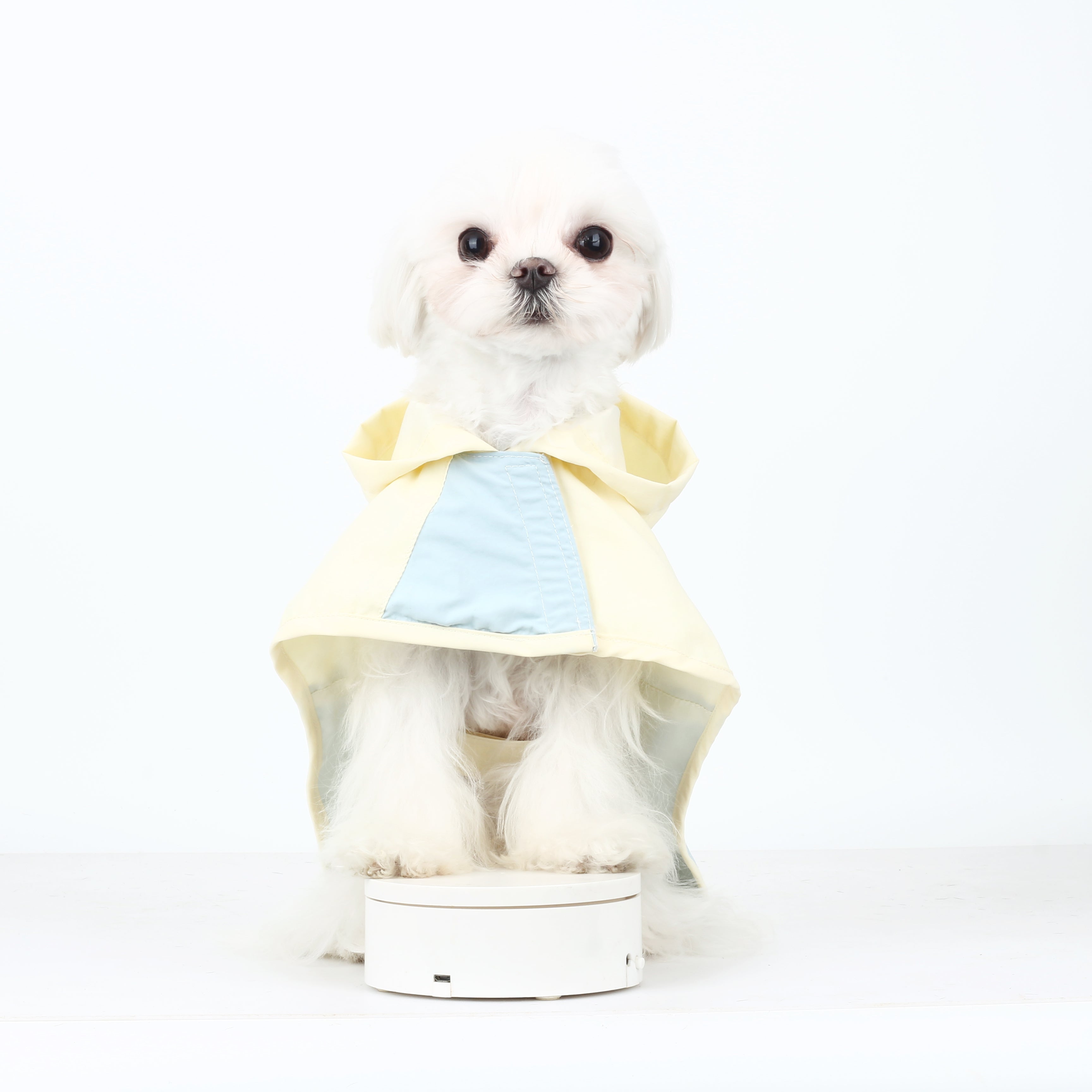 Ultra-Light Waterproof & Windproof Windbreaker