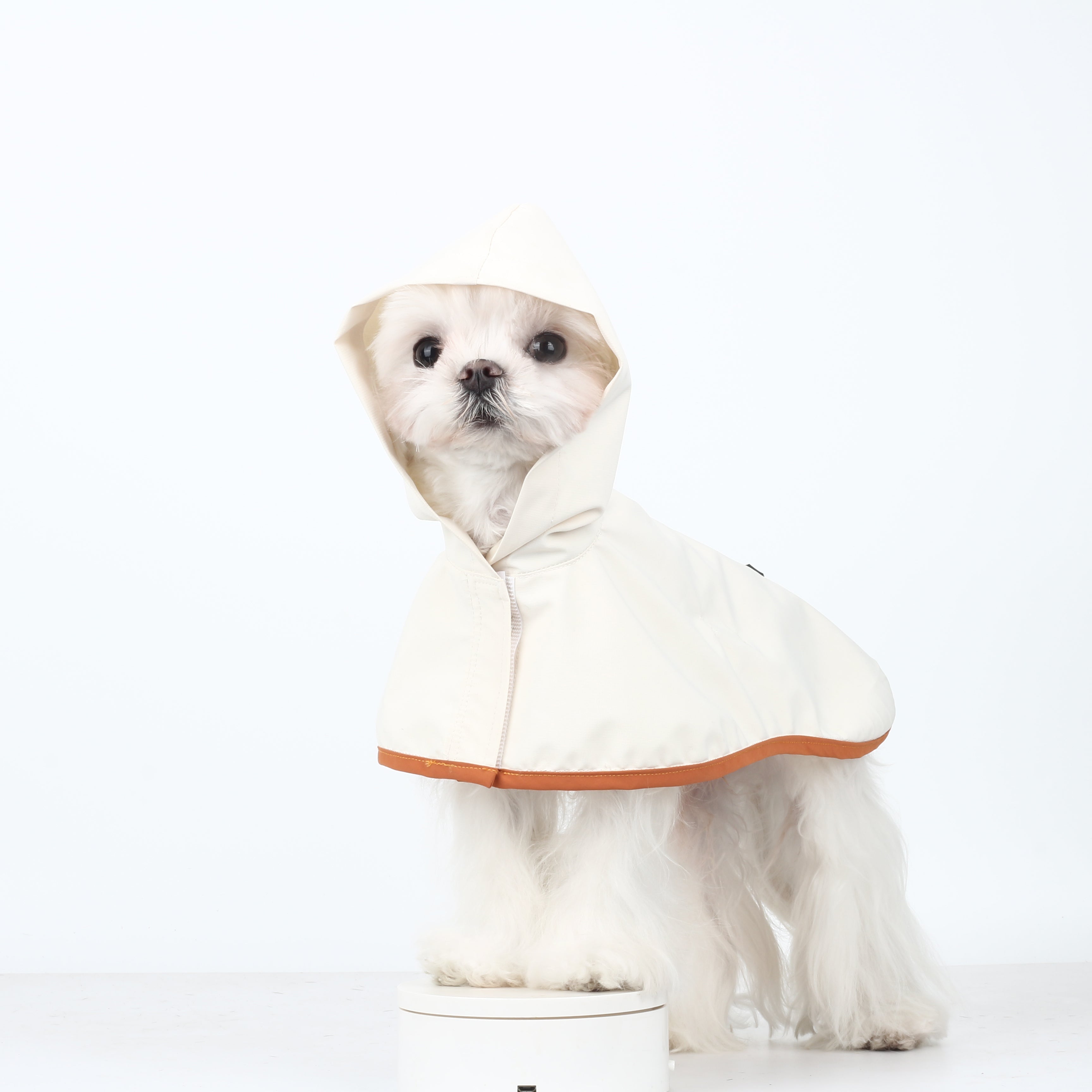 Ultra-Light Waterproof & Windproof Windbreaker