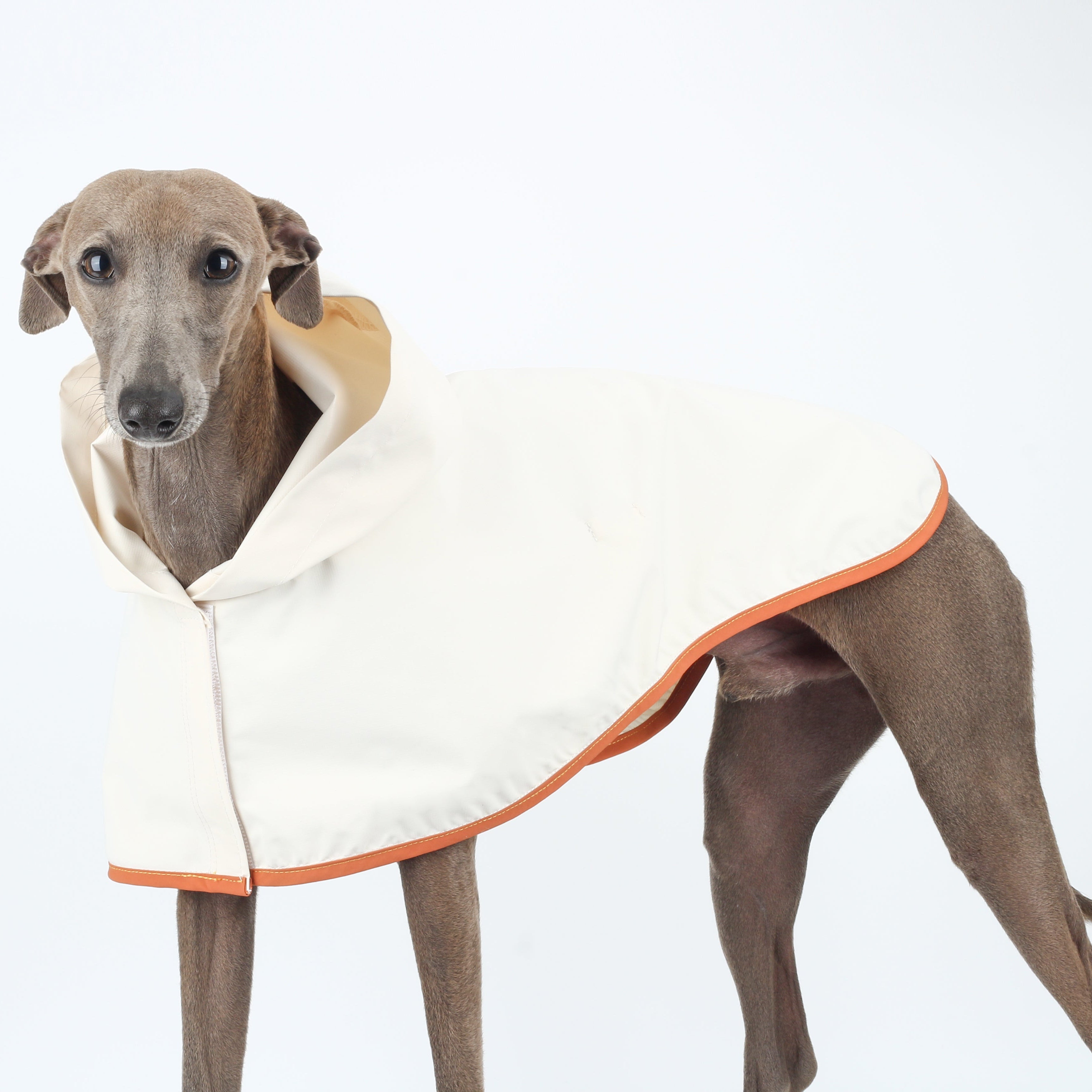 Ultra-Light Waterproof & Windproof Dog Windbreaker White