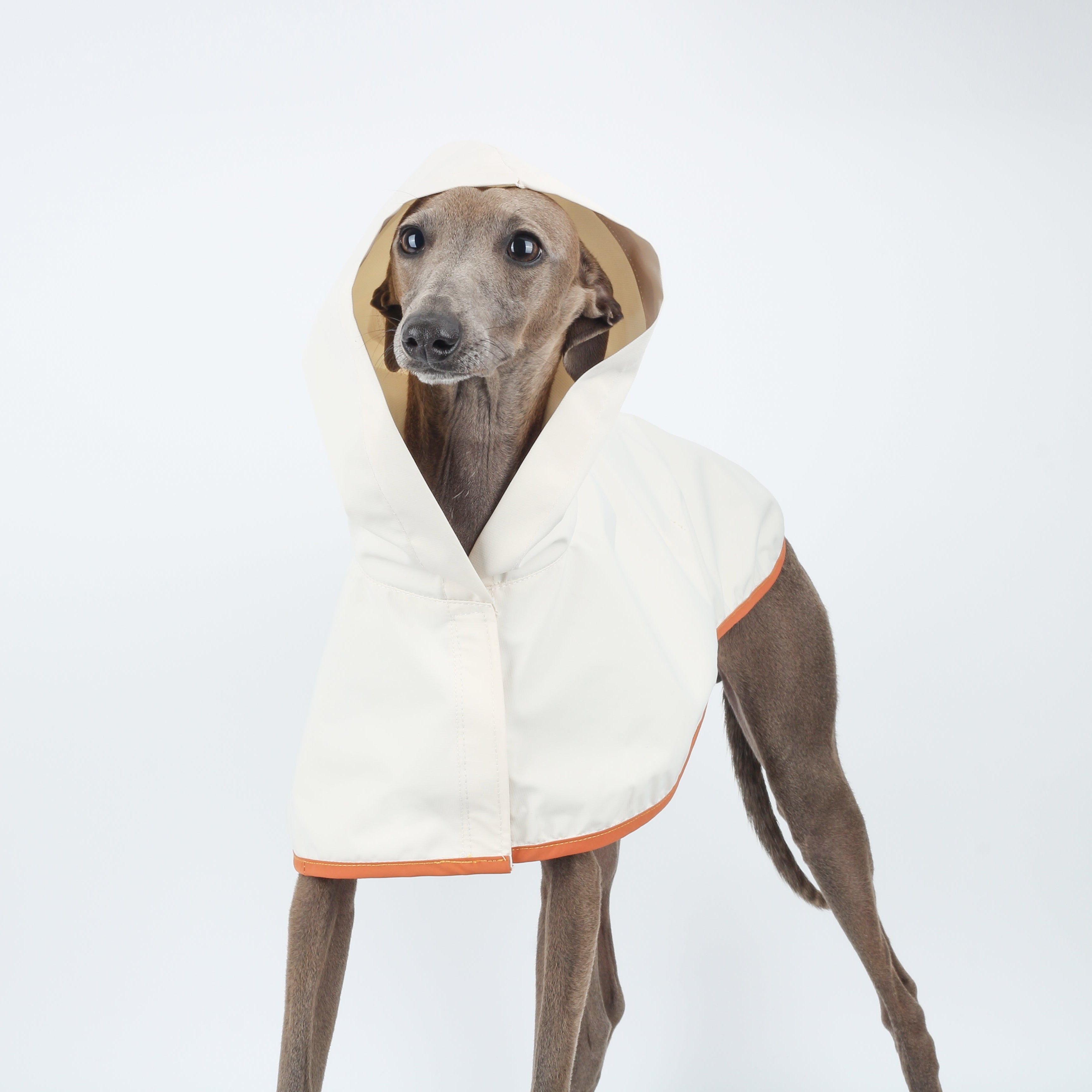 Ultra-Light Waterproof & Windproof Windbreaker