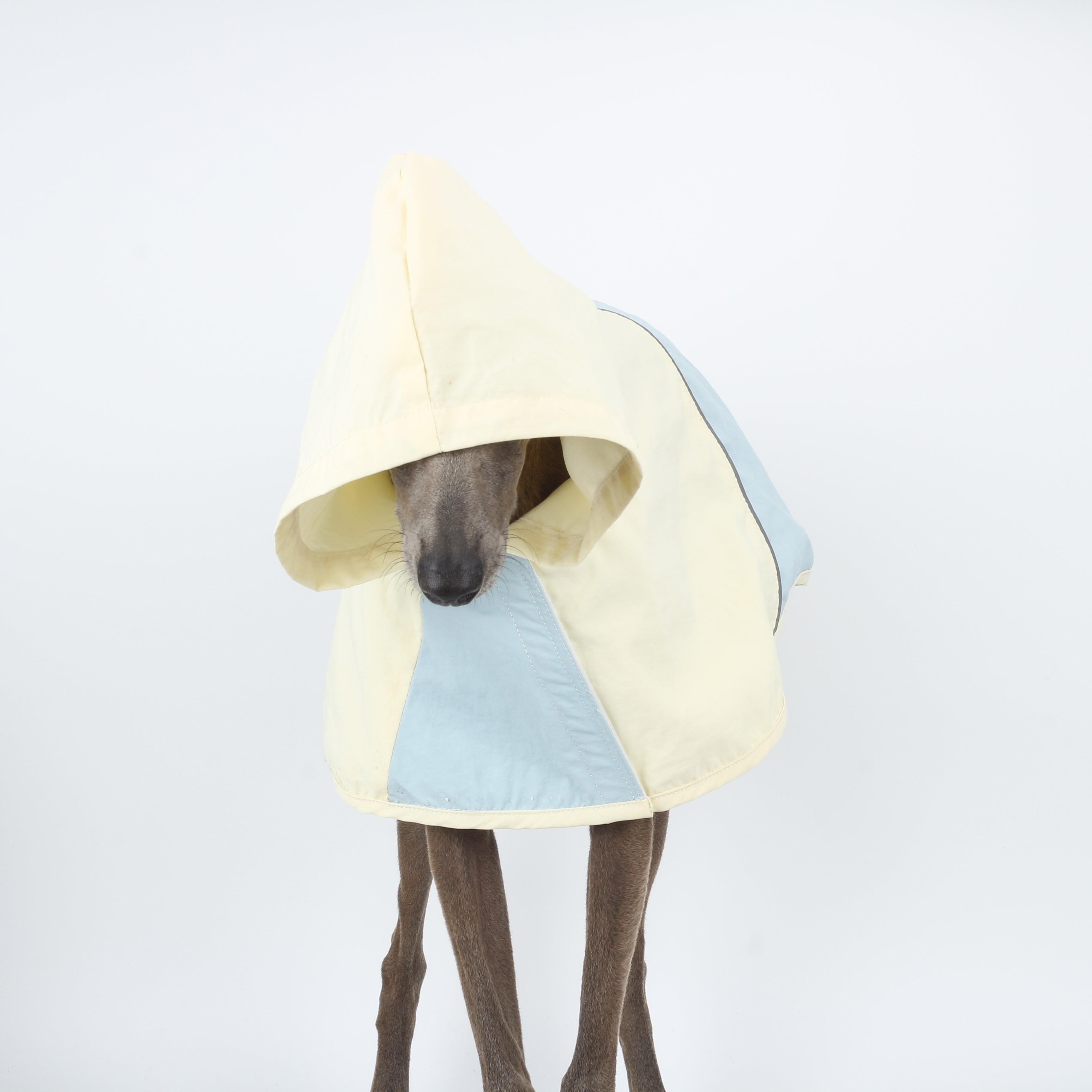 Ultra-Light Waterproof & Windproof Windbreaker