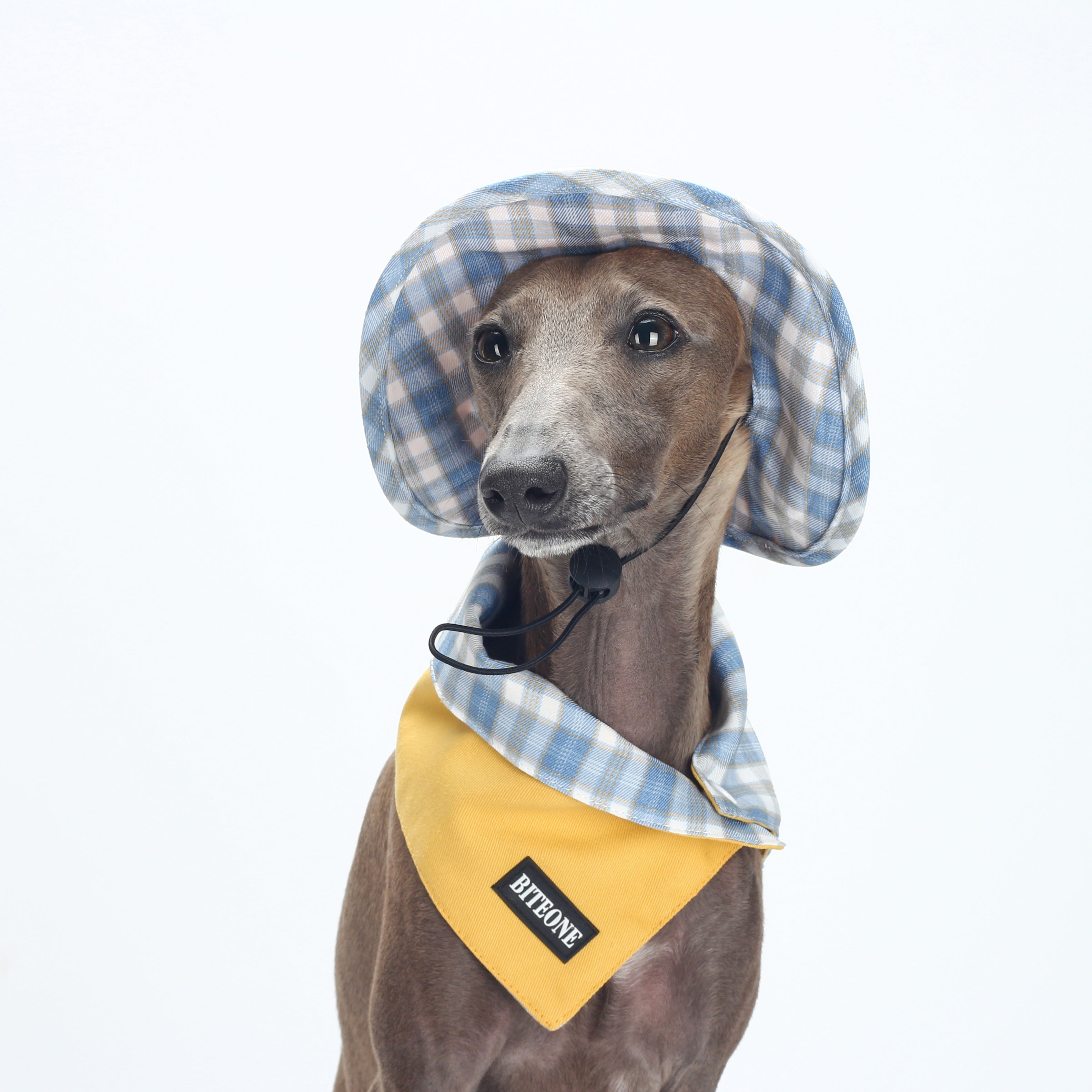 Everyday Plaid Scarf