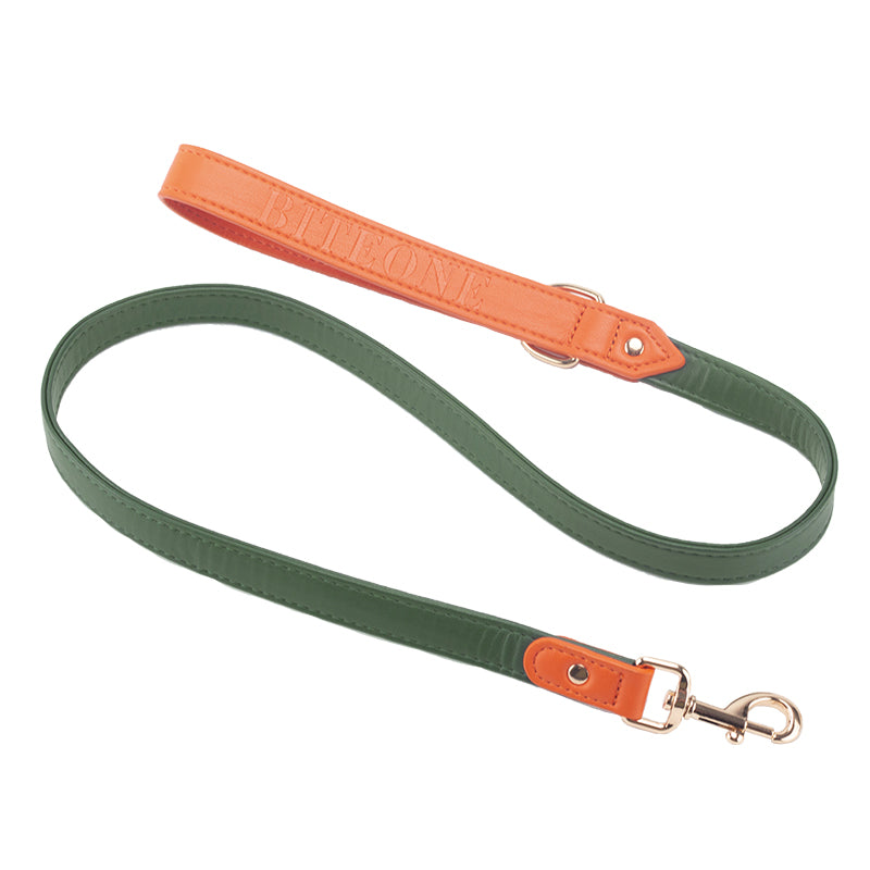 Leather Pet leash
