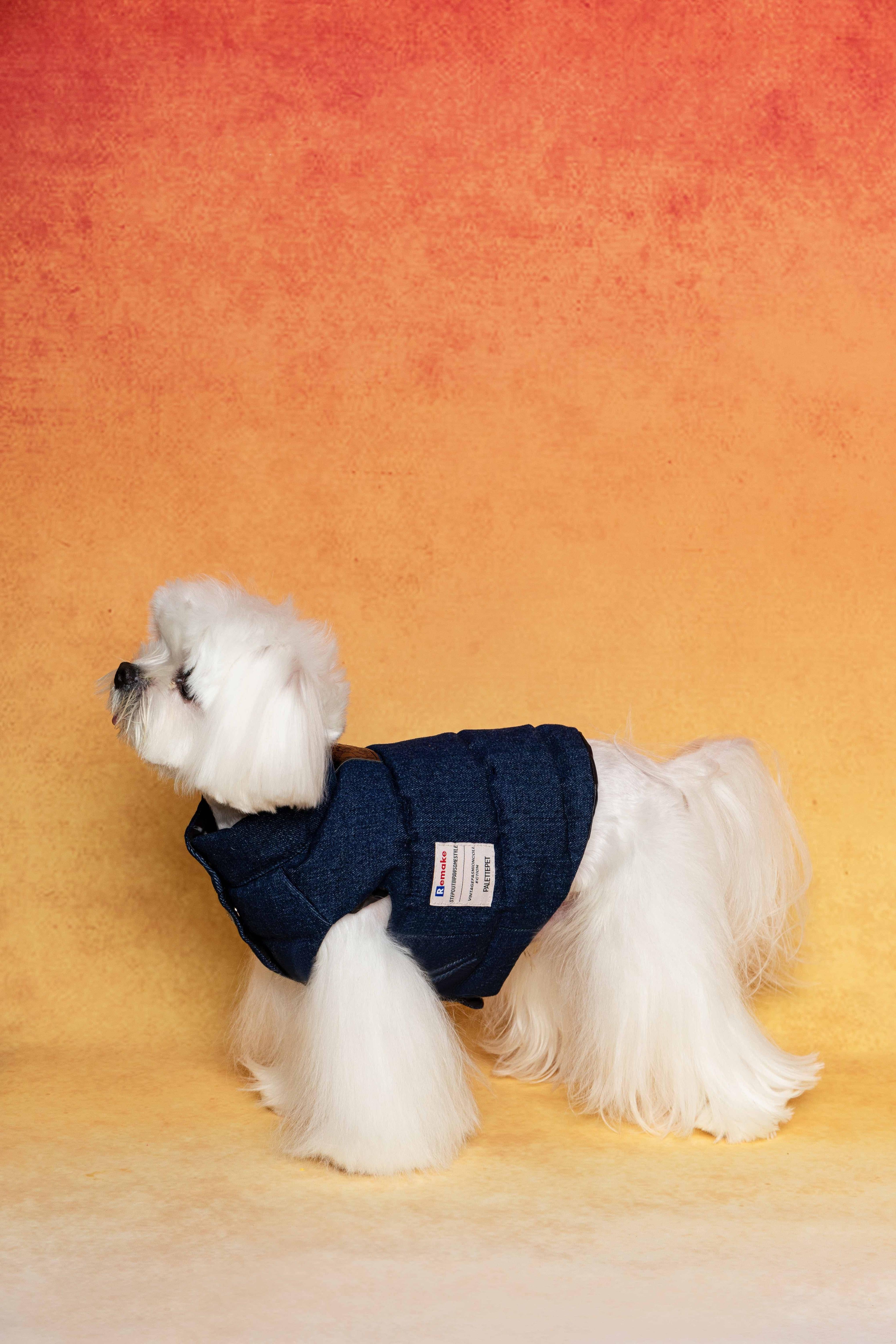 Black Printed Denim Puffer Jacket (Reversible)