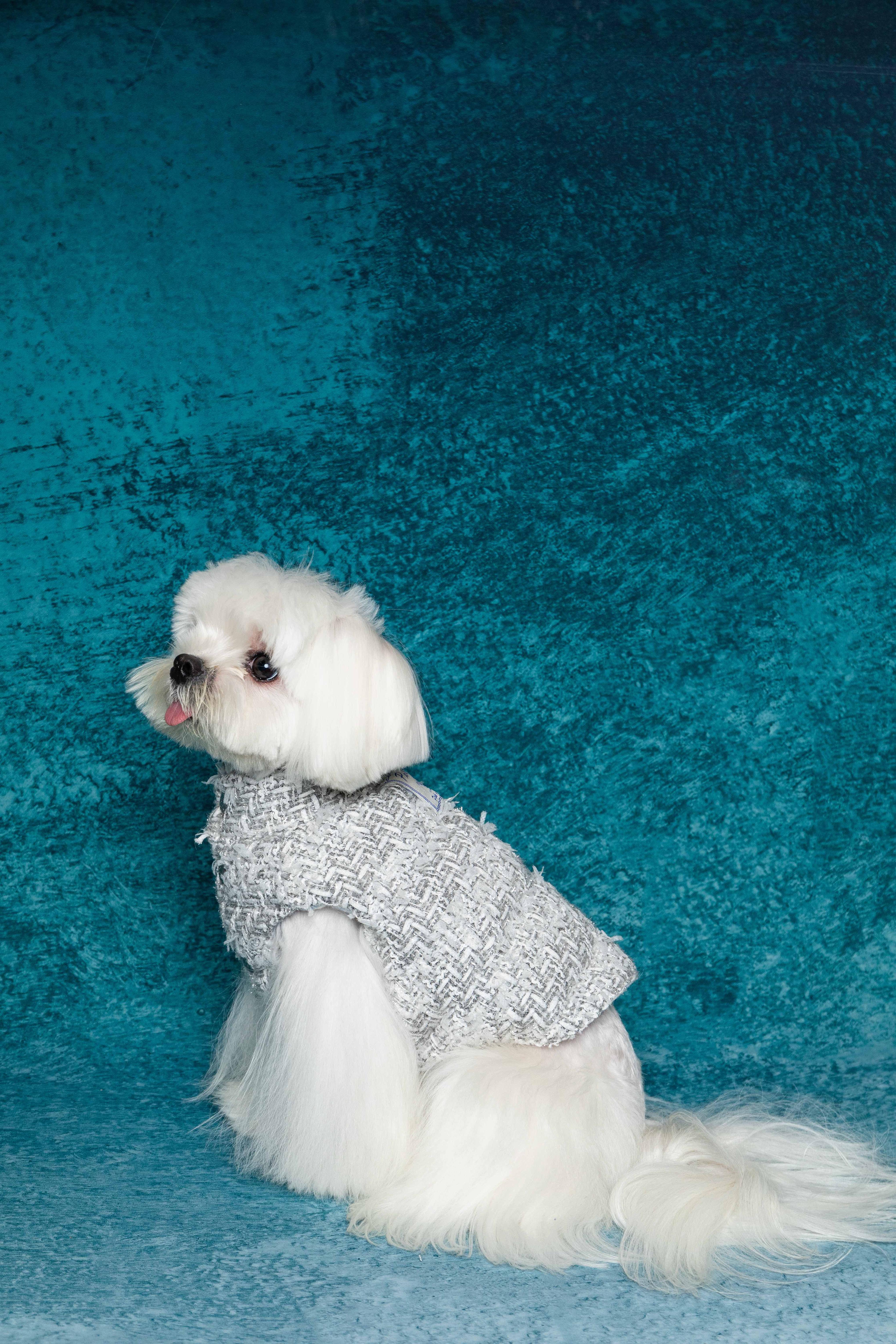 Silver Chanel-Style Plaid Puffer Jacket (Reversible)