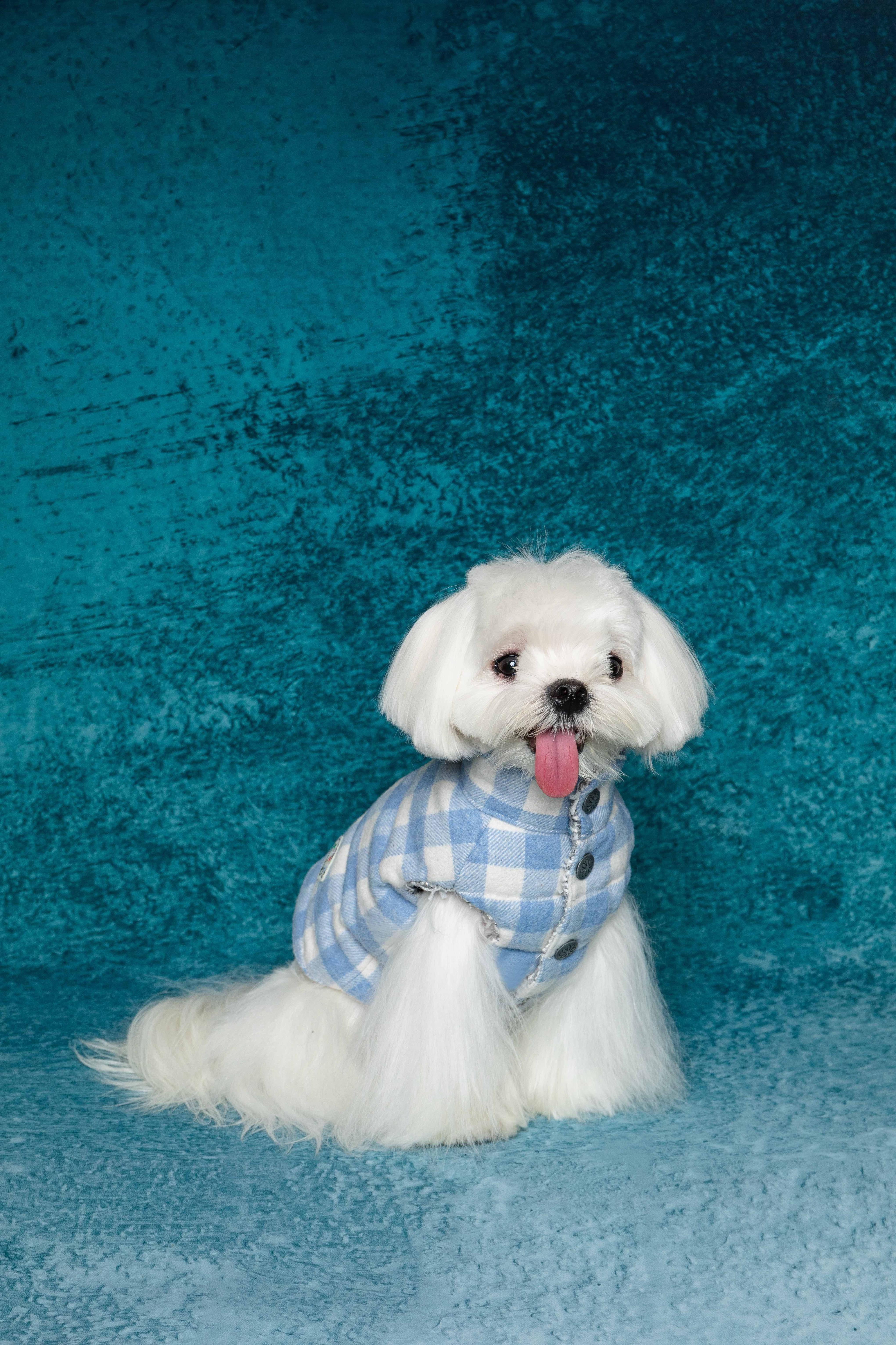 Silver Chanel-Style Plaid Puffer Jacket (Reversible)