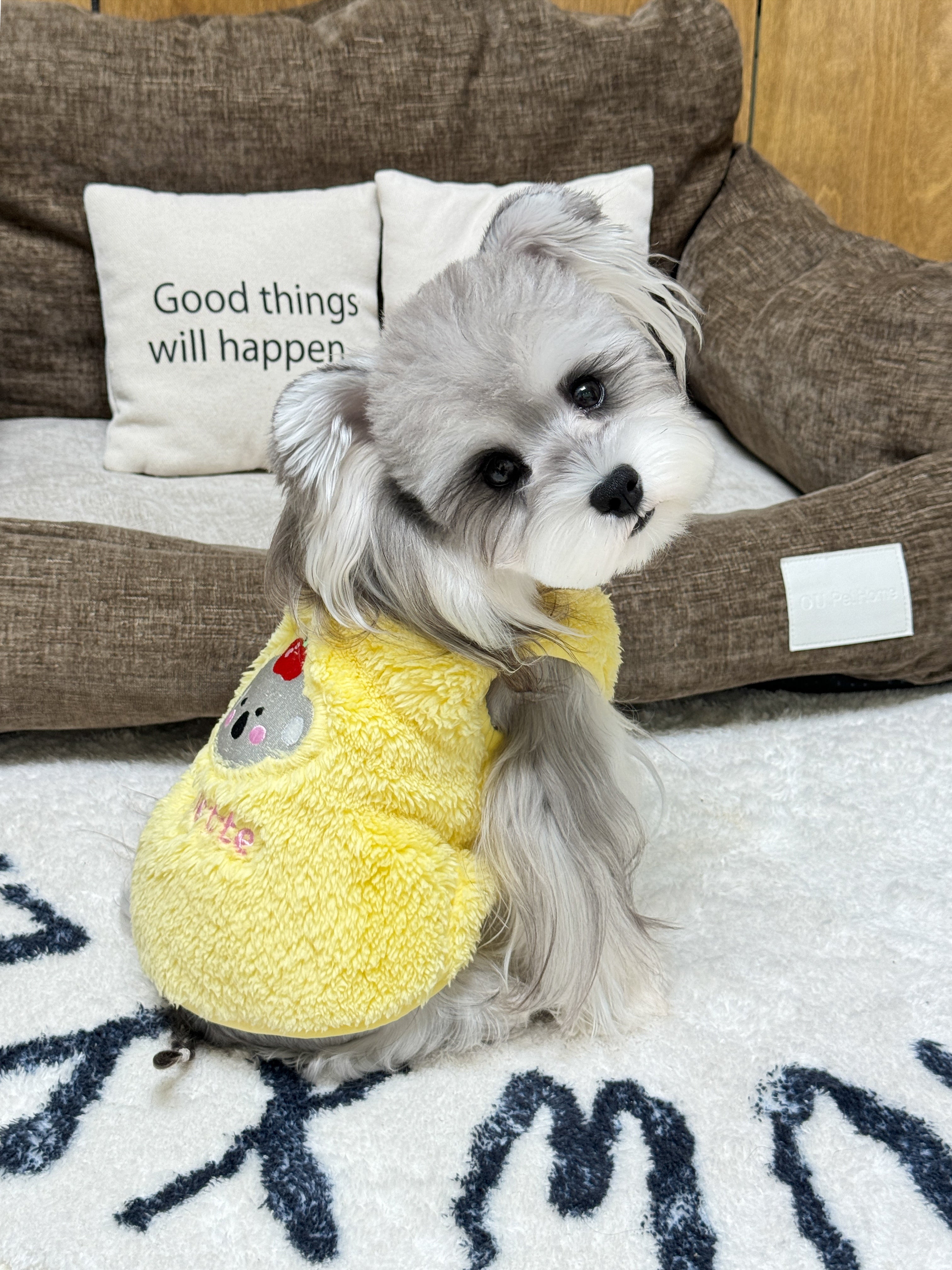 Yellow Koala Fleece Vest