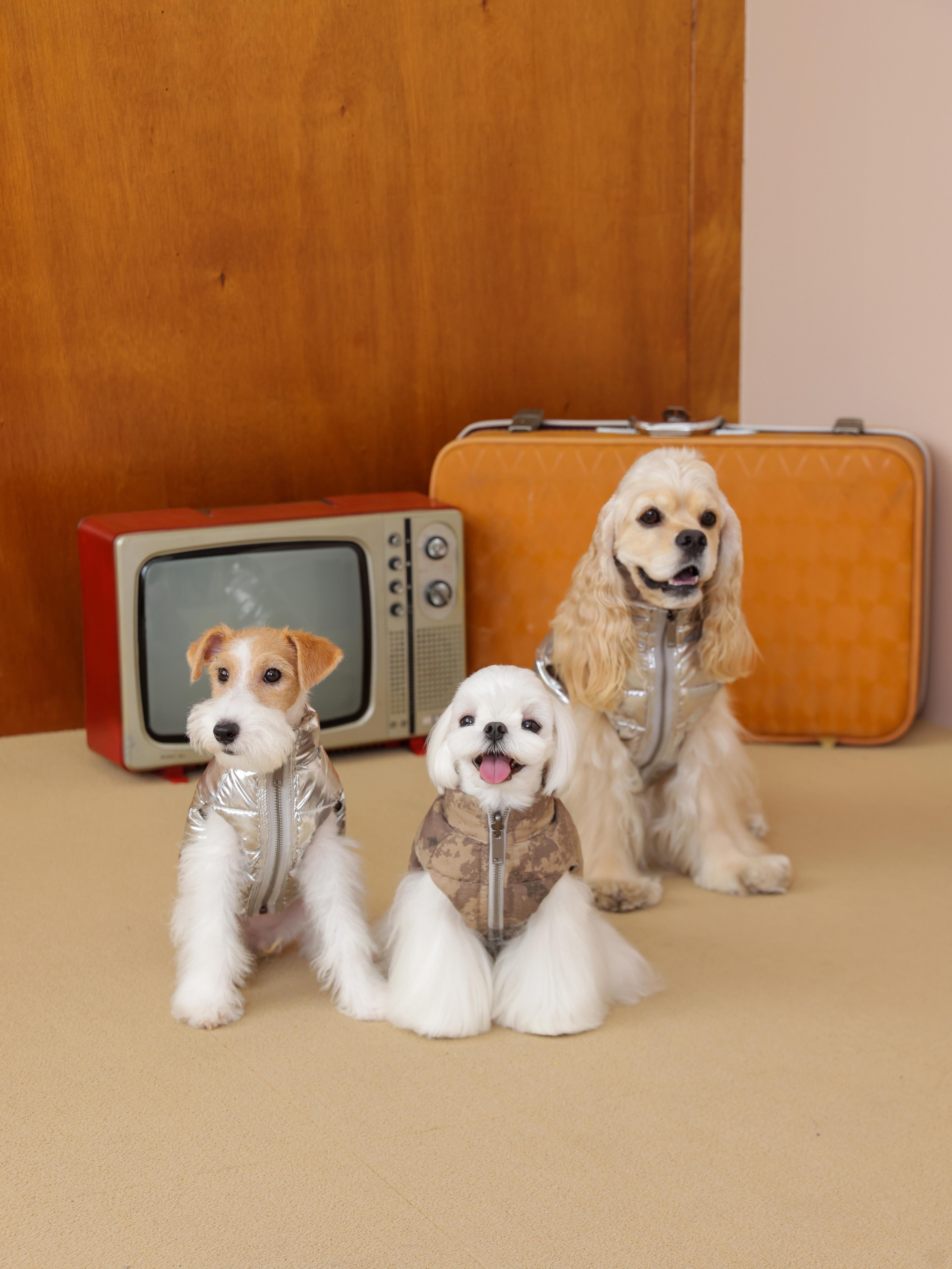 Camouflage Zip-Up Reversible Puffer Jacket