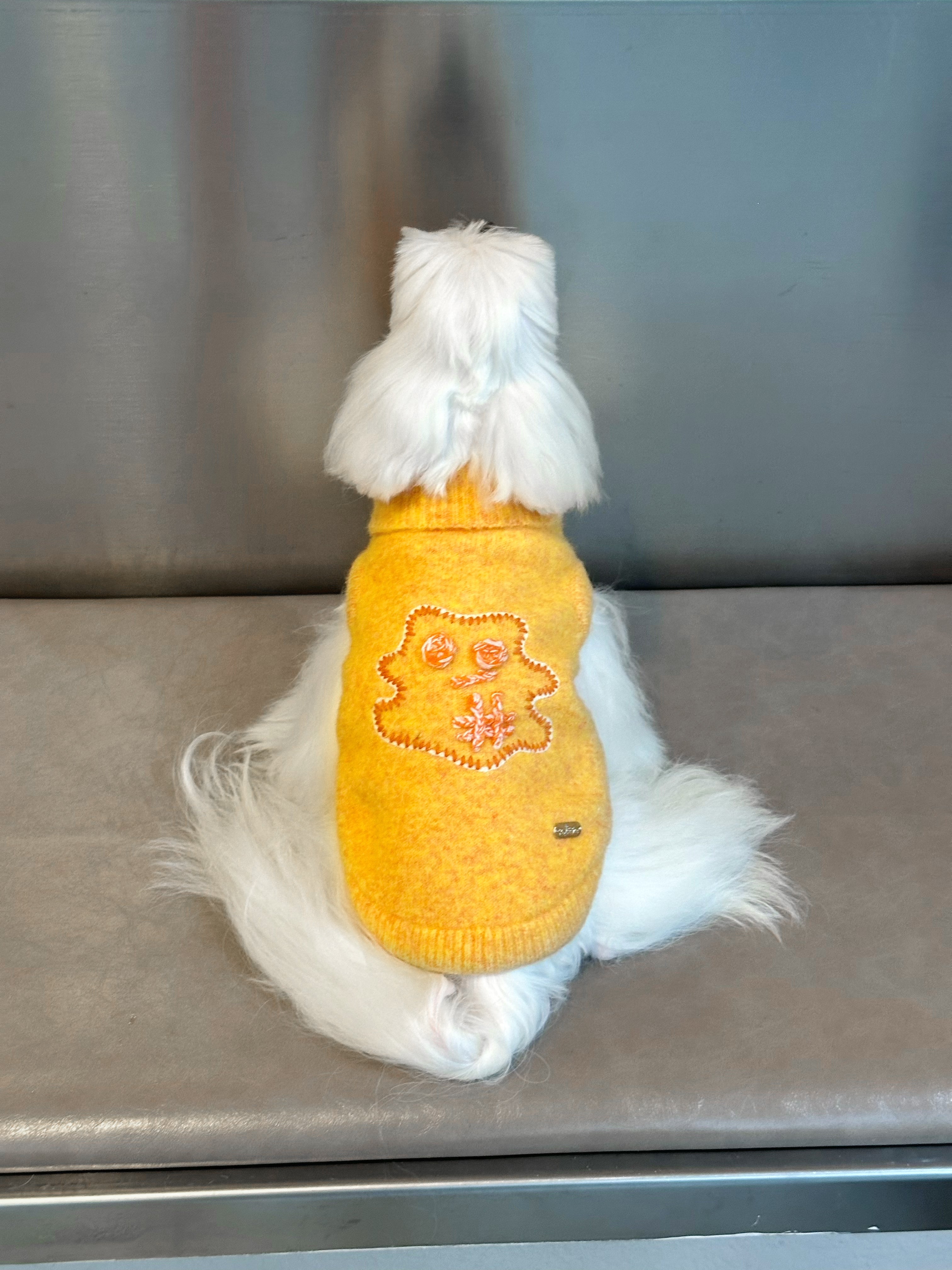 Little Monster Orange Collared Knit Sweater