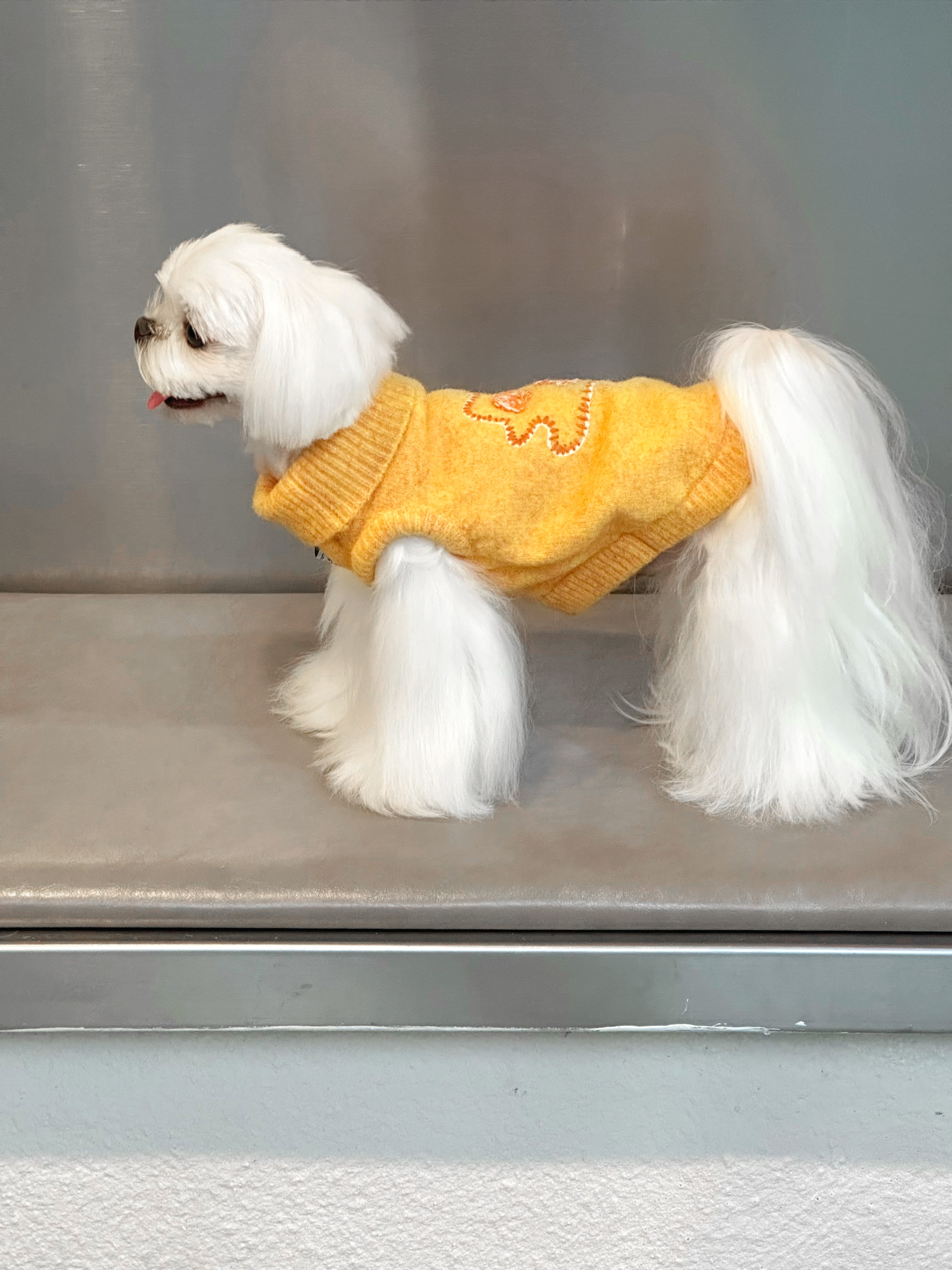 Little Monster Orange Collared Knit Sweater