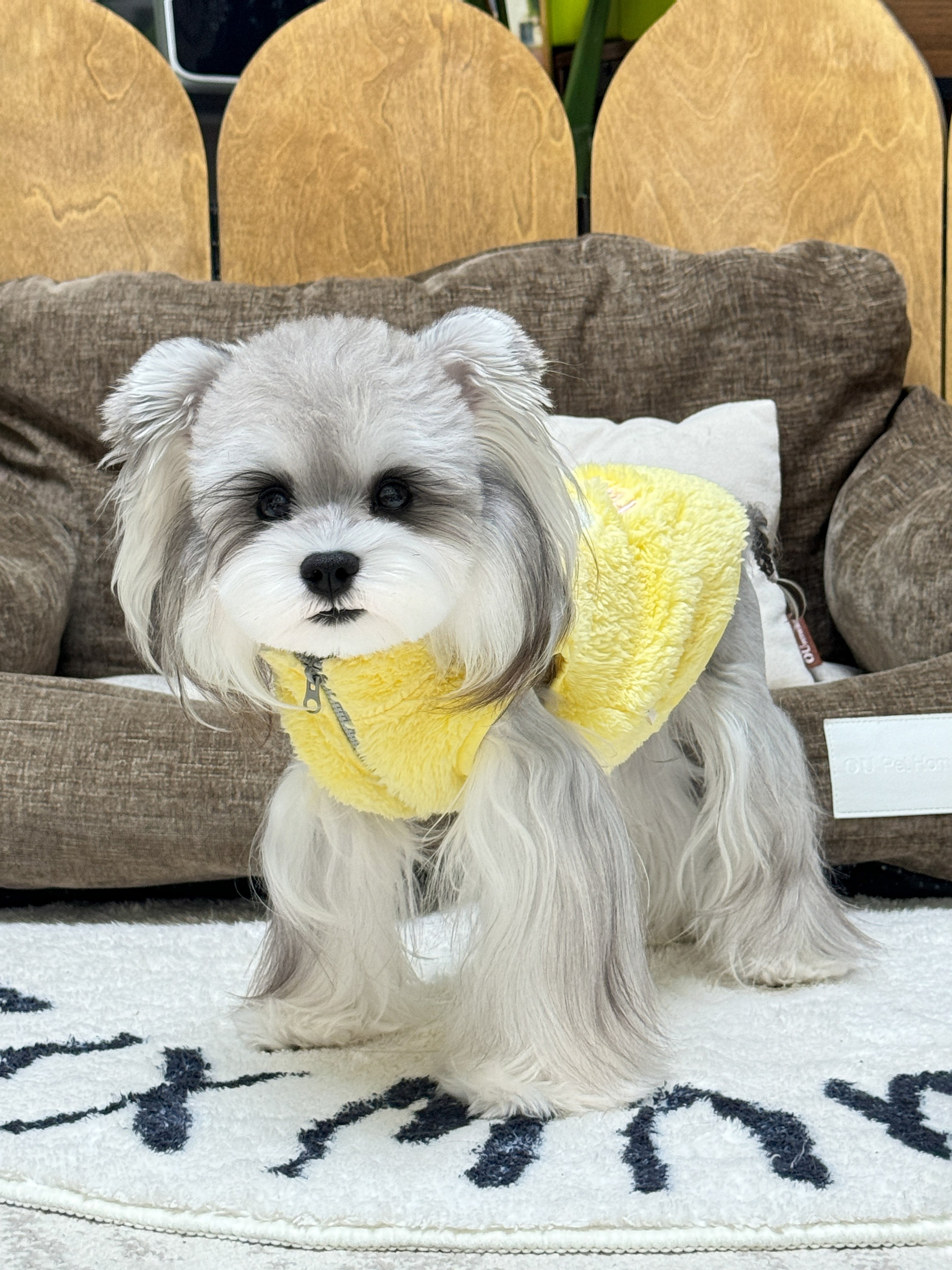 Yellow Koala Fleece Vest