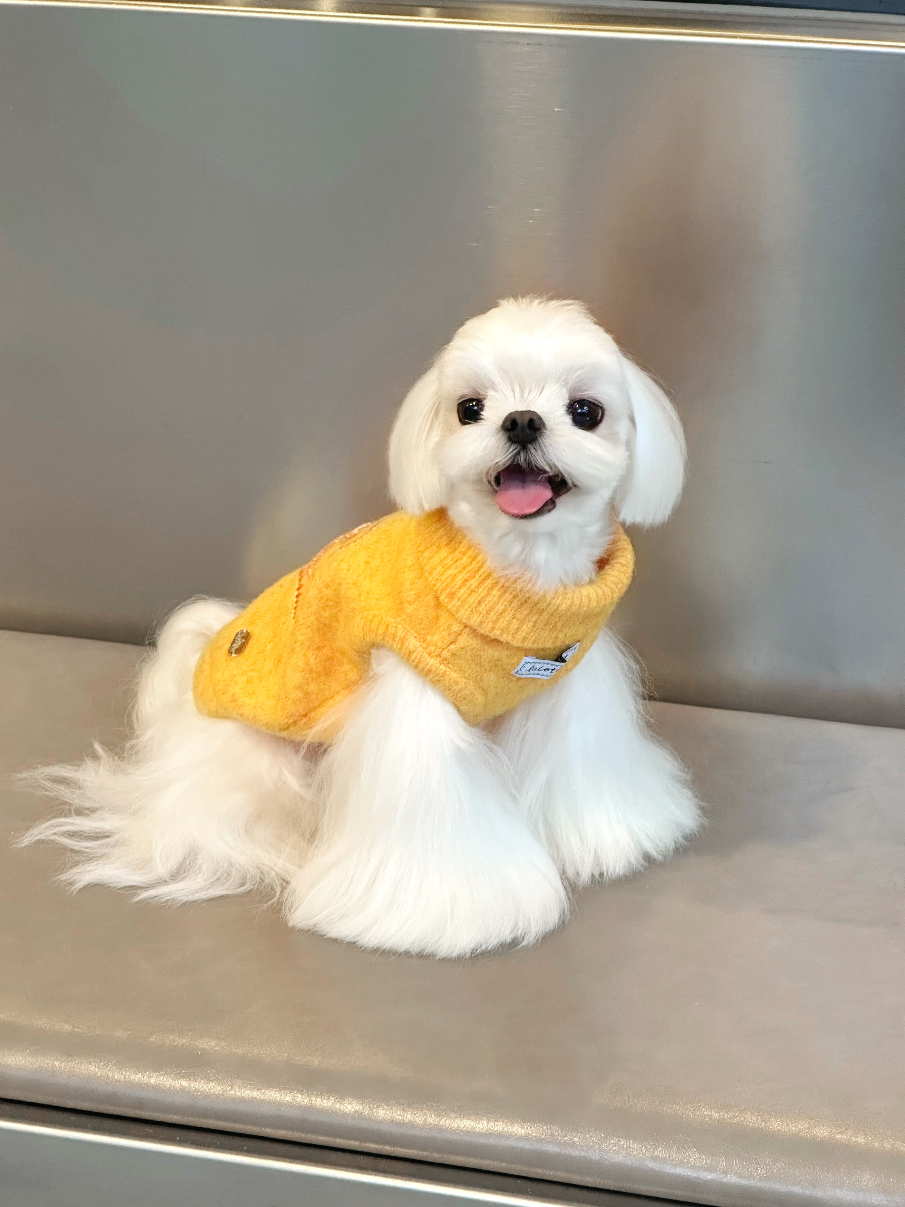 Little Monster Orange Collared Knit Sweater