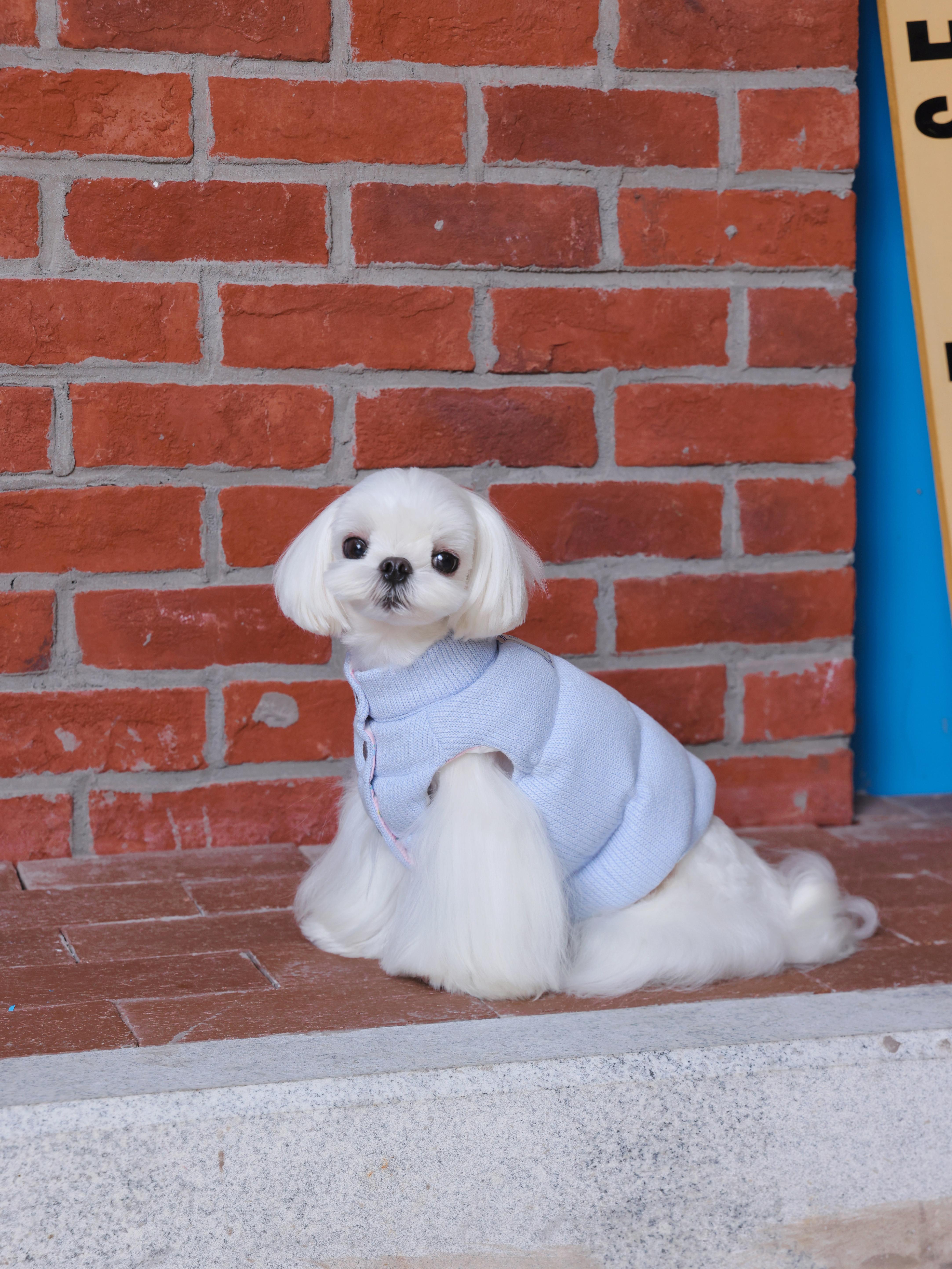 Blue Knitted Button Puffer Jacket (Reversible)