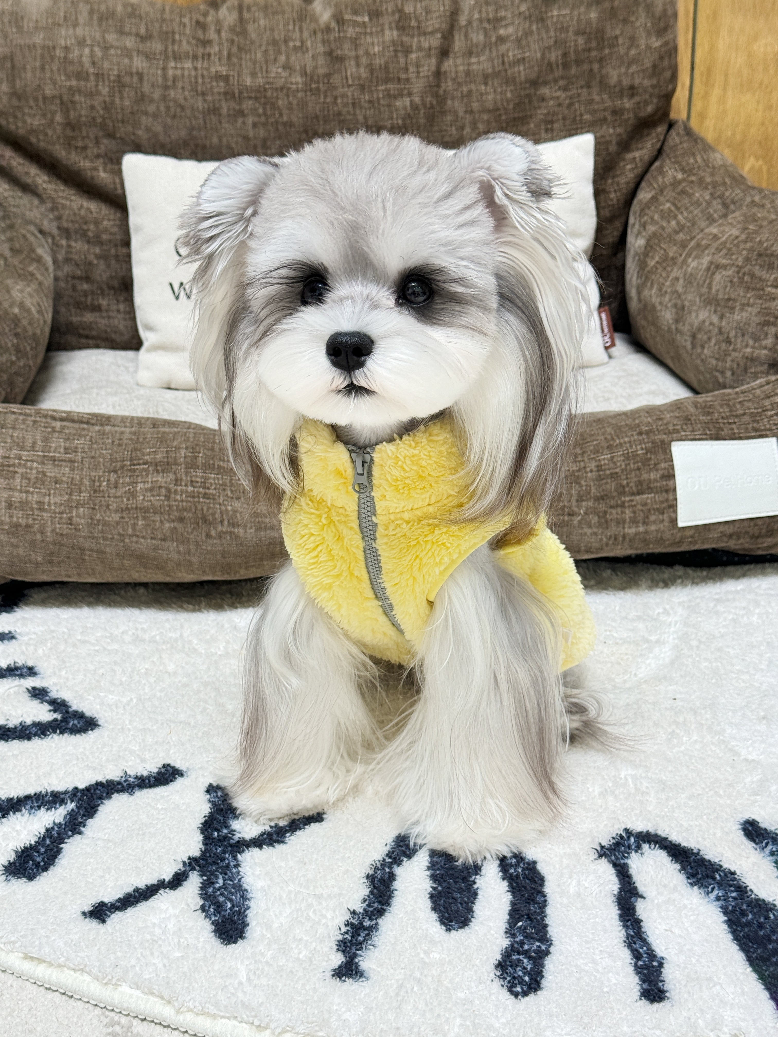 Yellow Koala Fleece Vest