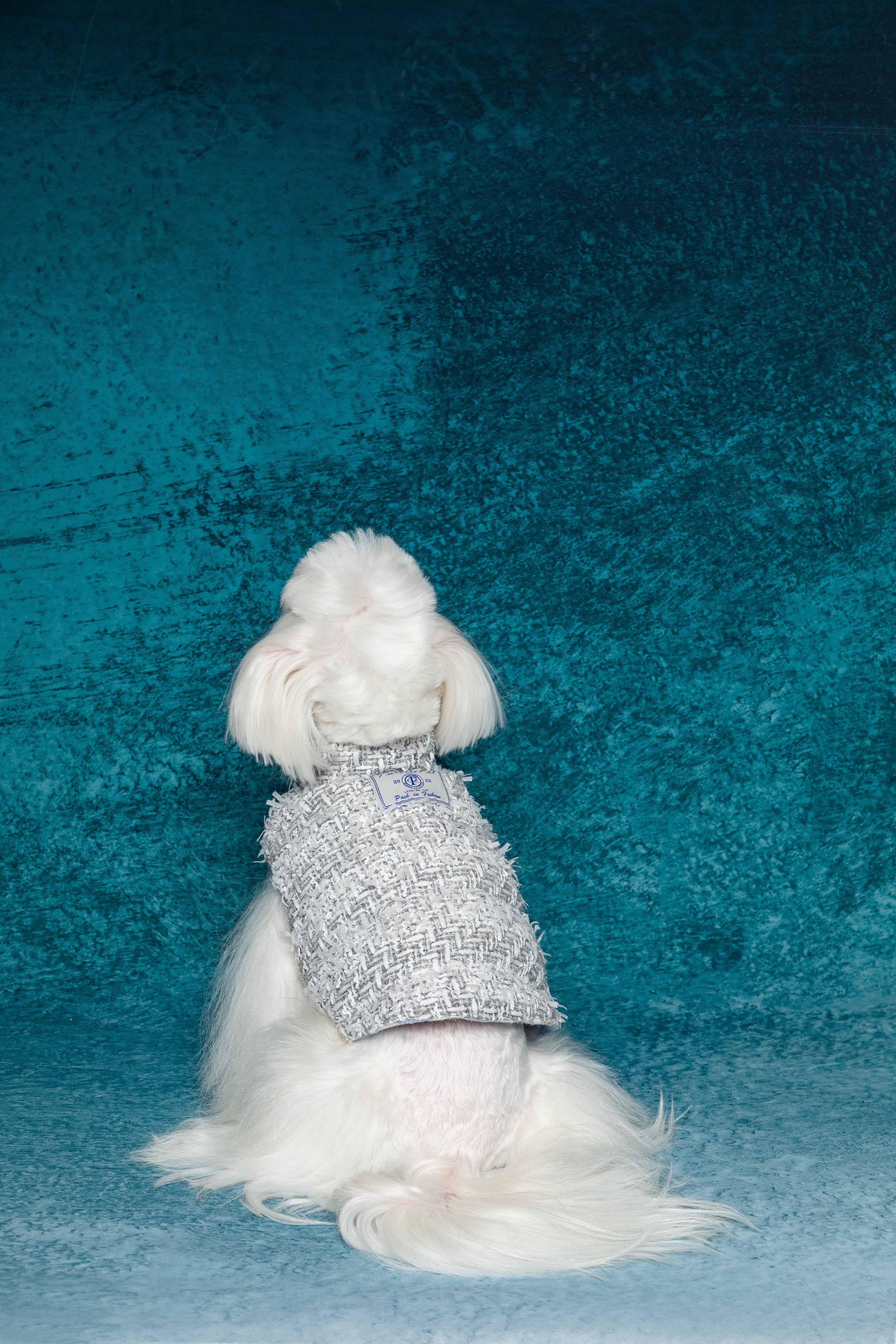 Silver Chanel-Style Plaid Puffer Jacket (Reversible)