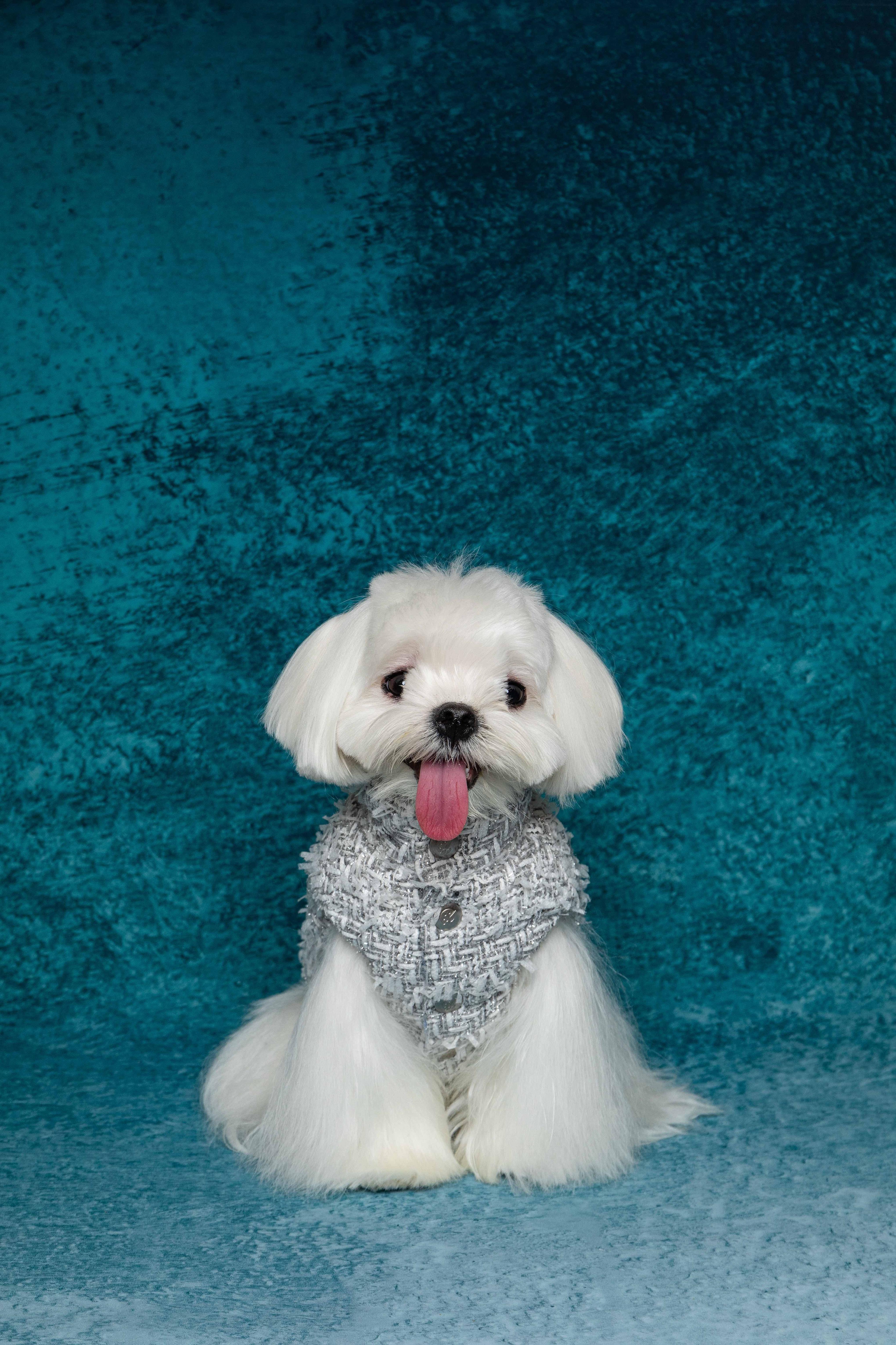 Silver Chanel-Style Plaid Puffer Jacket (Reversible)