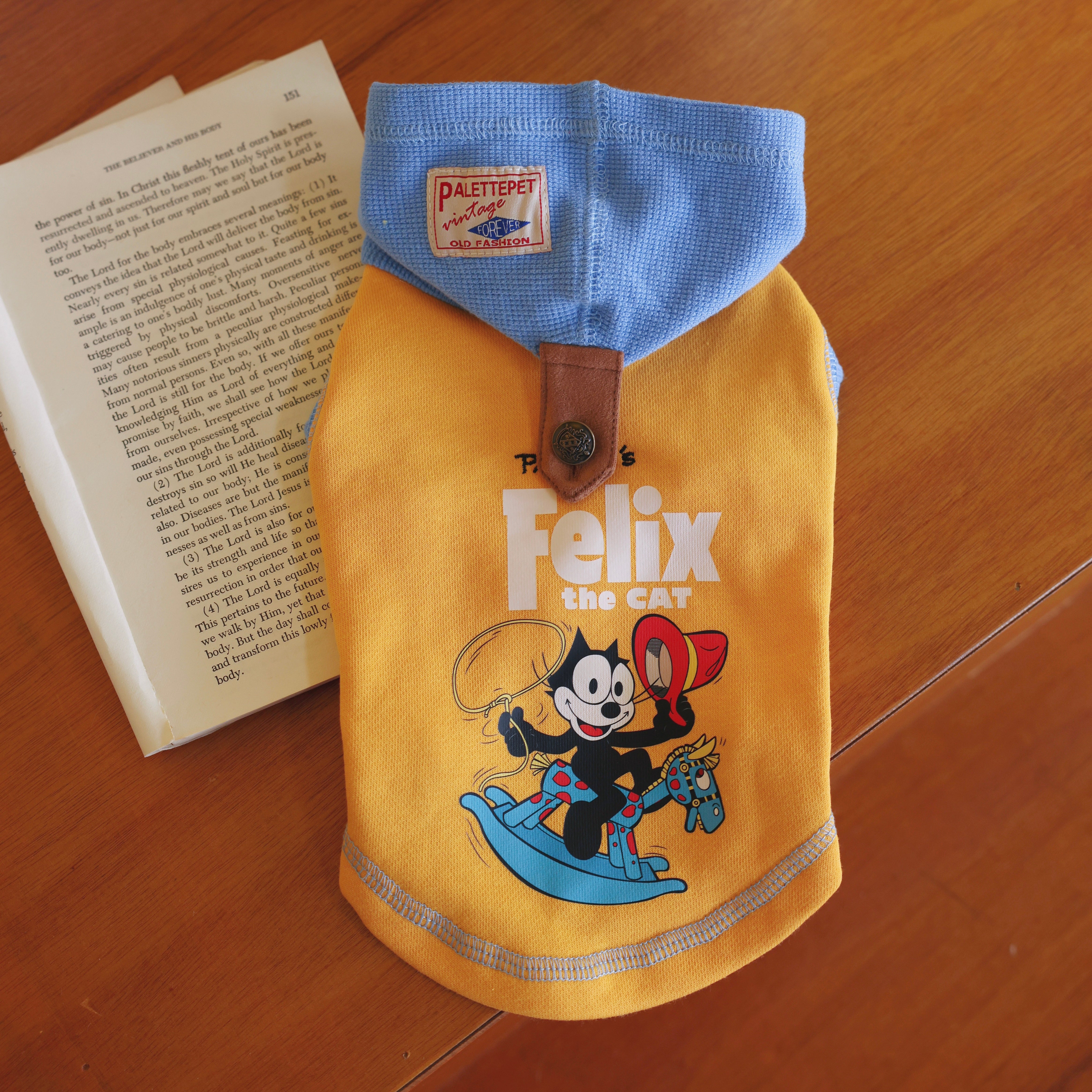 Cartoon Black Cat Sleeveless Button-Up Hoodie