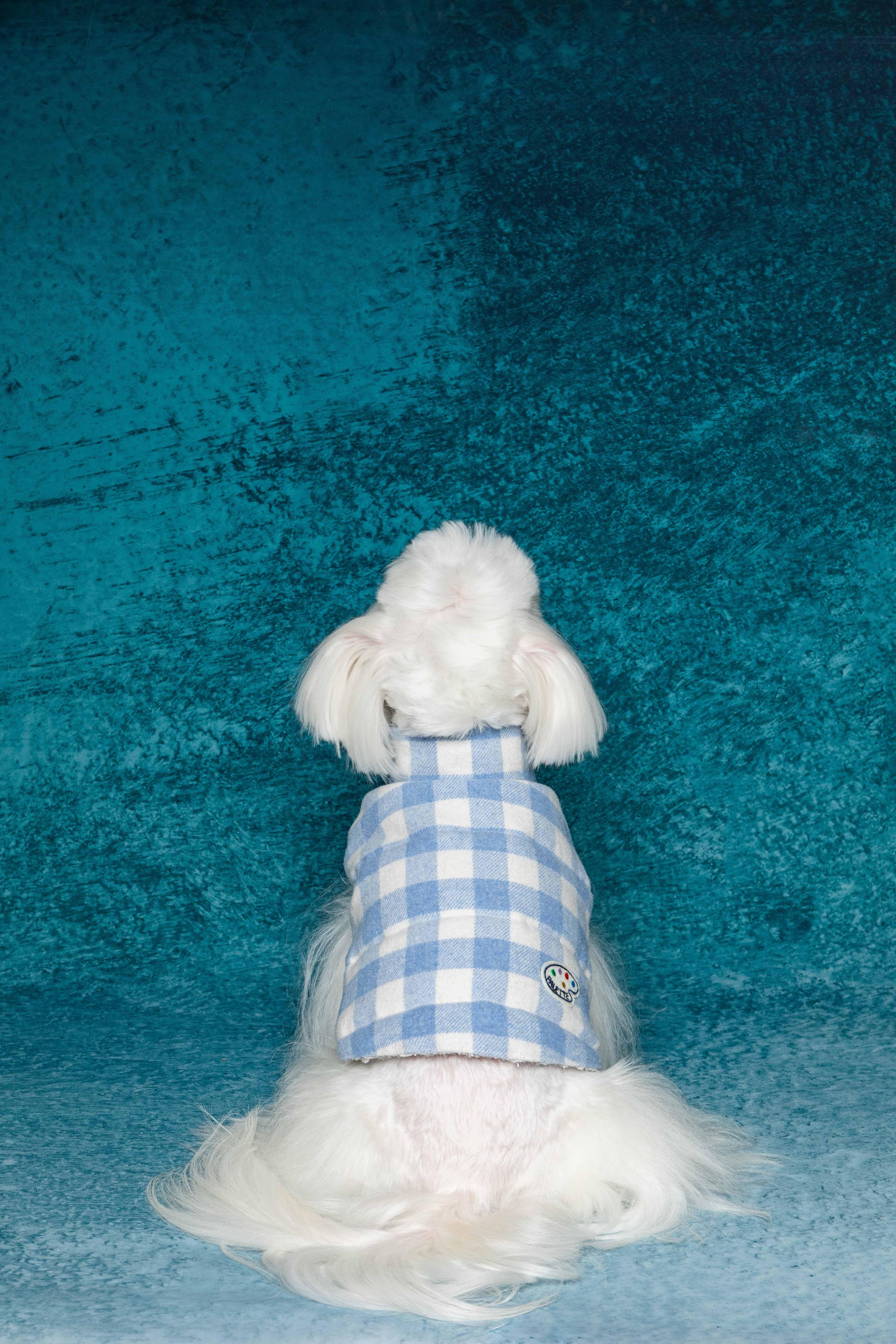 Silver Chanel-Style Plaid Puffer Jacket (Reversible)