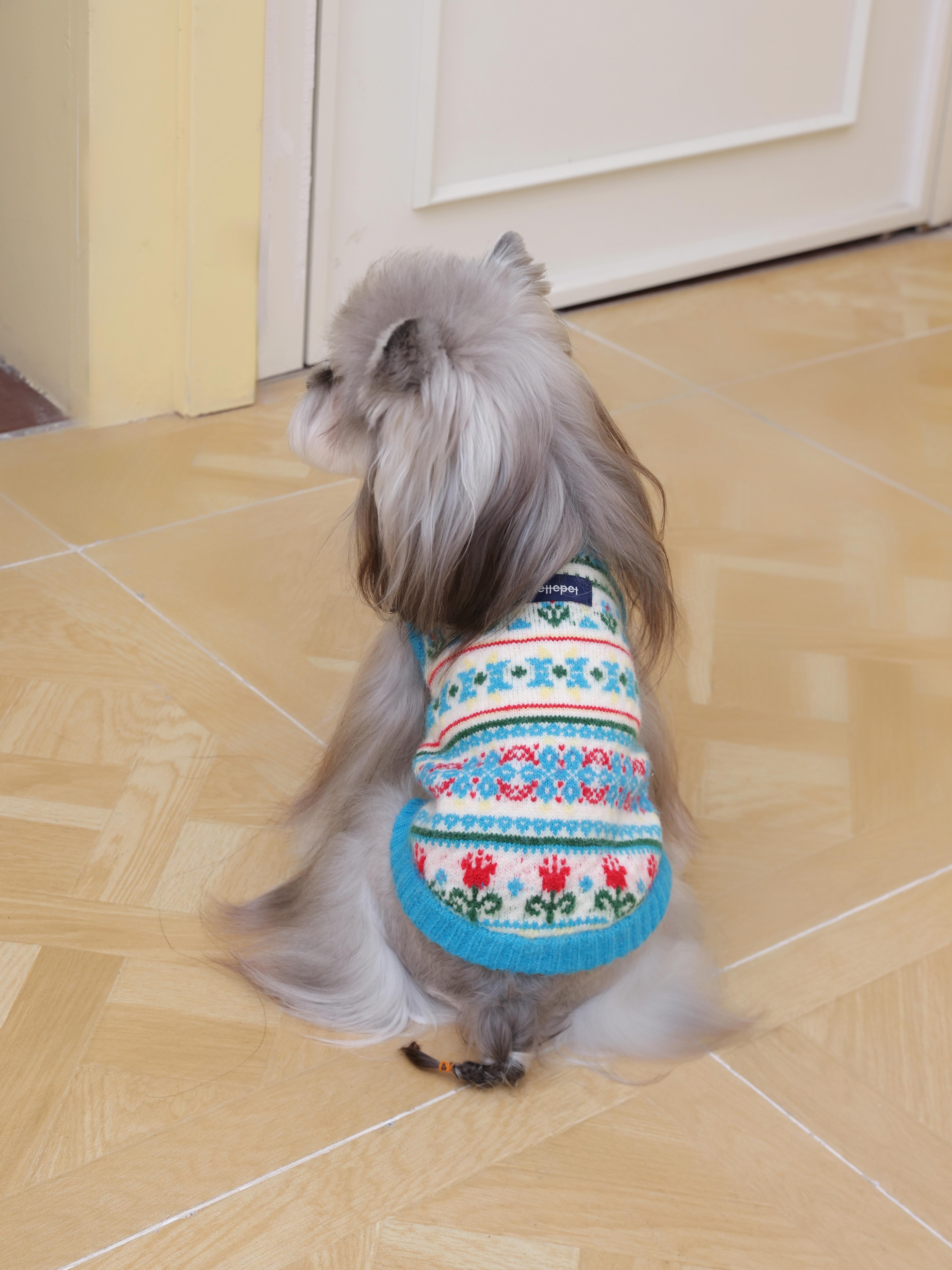 Blue Fair Isle Sleeveless Knit Sweater