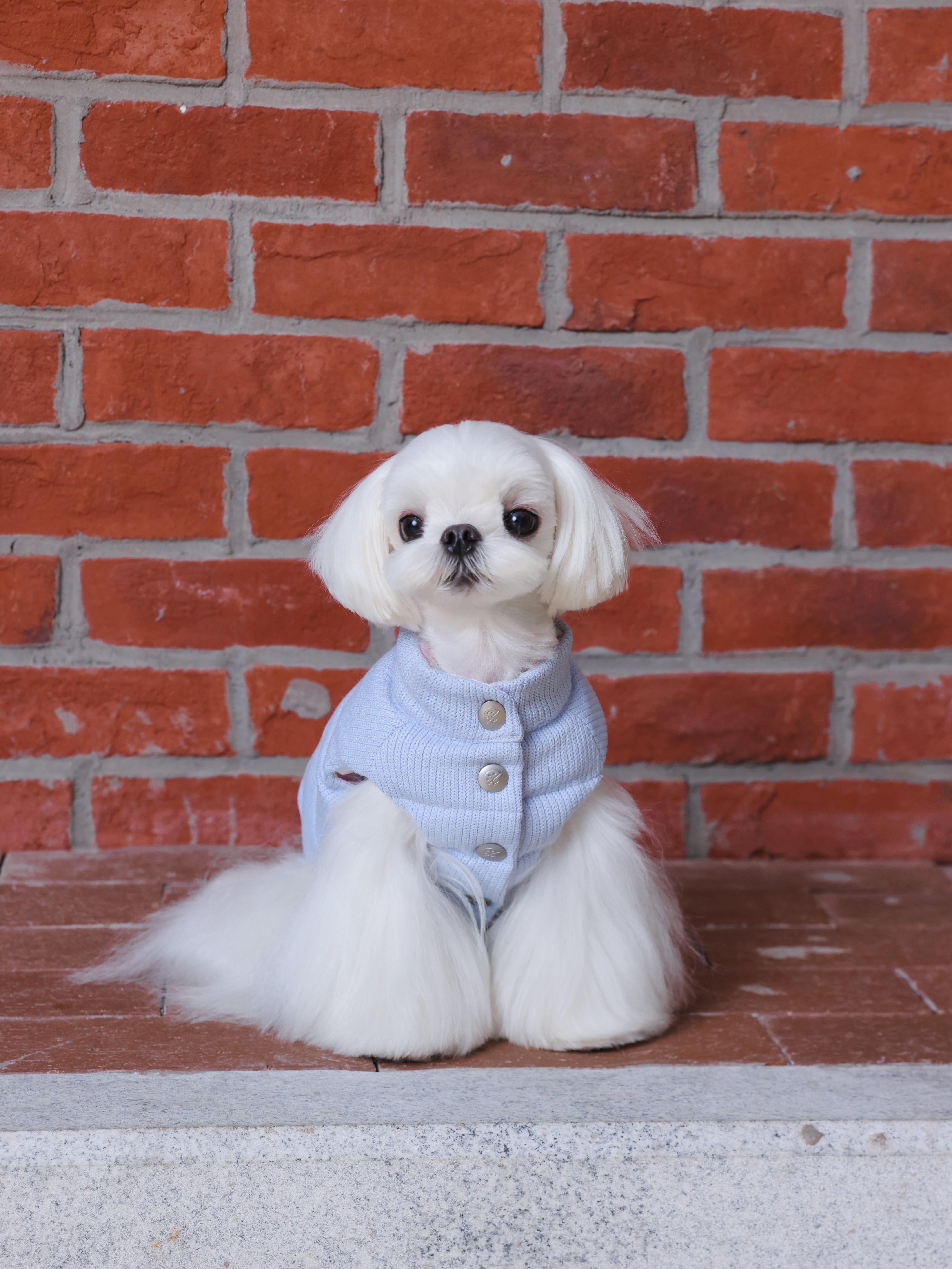 Blue Knitted Reversible Puffer Jacket