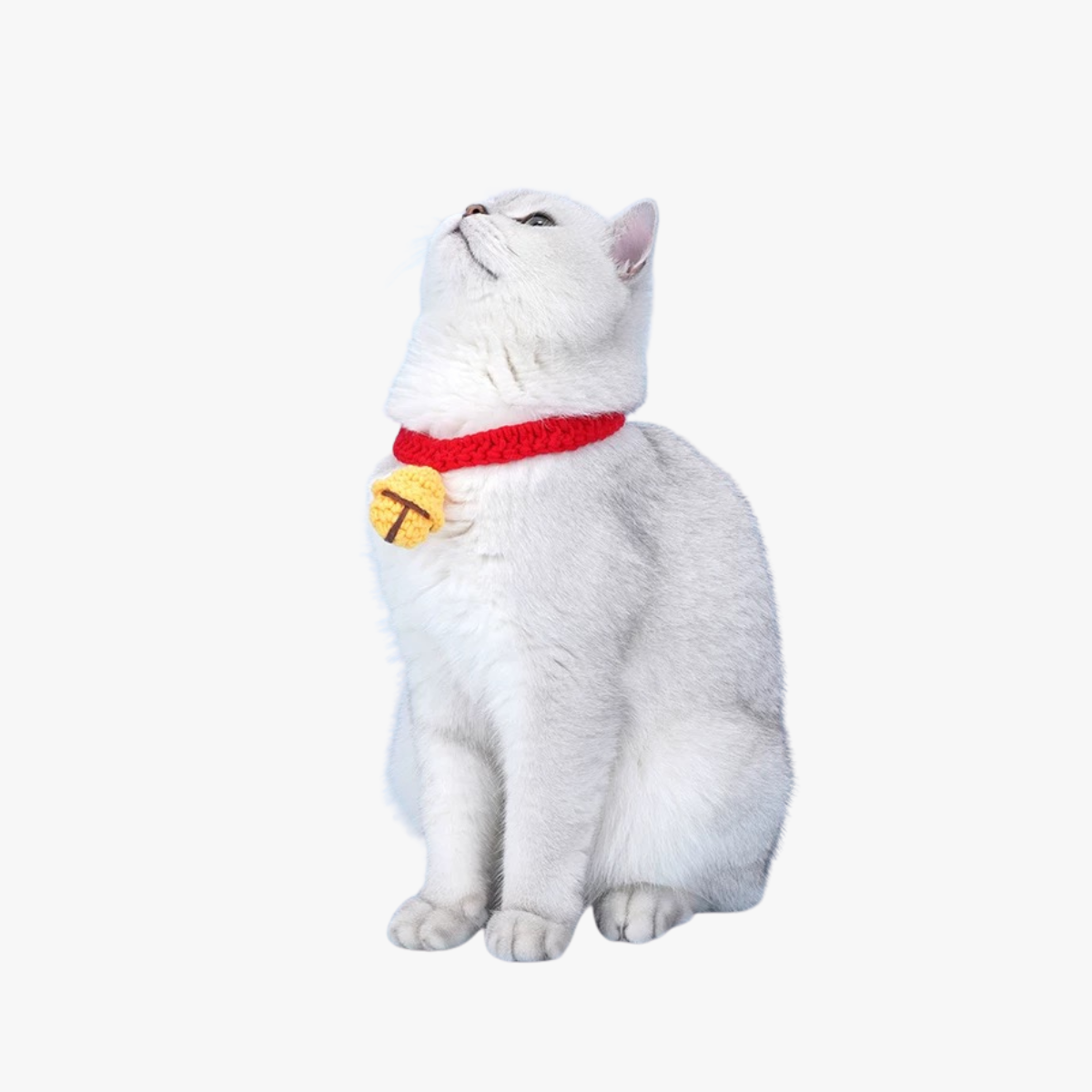 Lucky Bell Crochet Collar