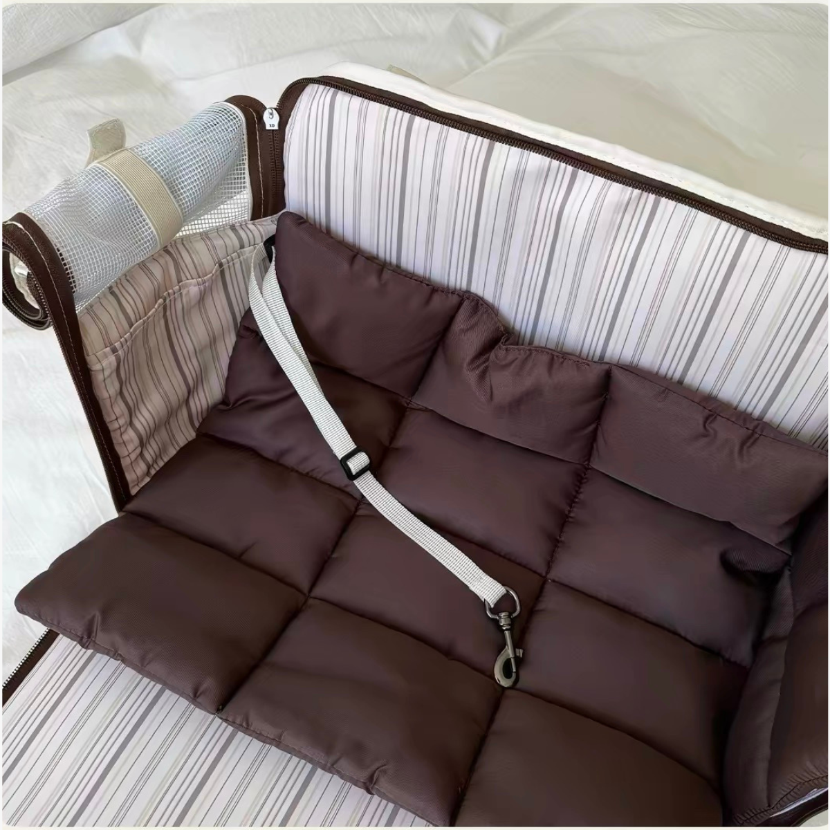 Pet Carrier & Travel Bed
