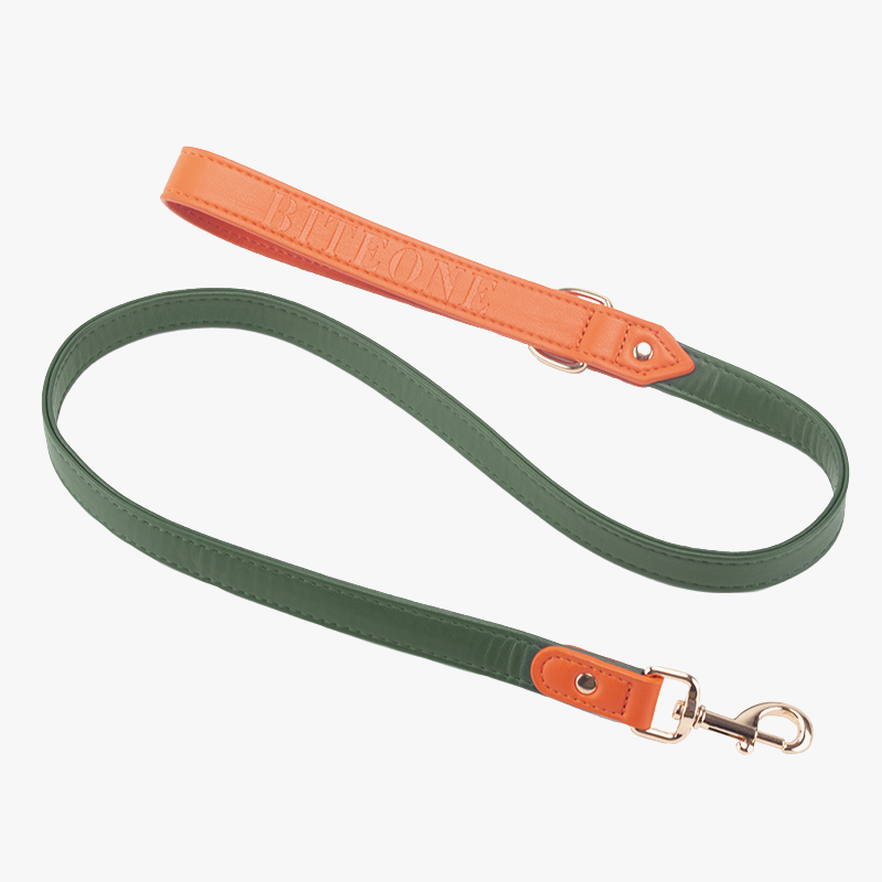 Leather Leash