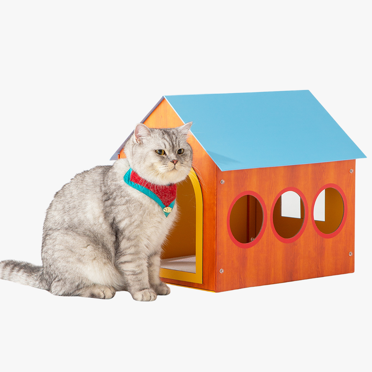 Blue Roof Cat House with Scratching Board