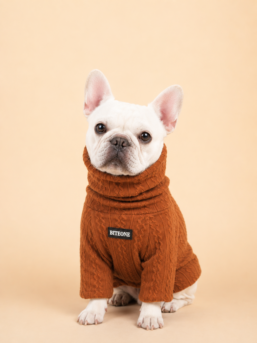 Frenchie Favorites
