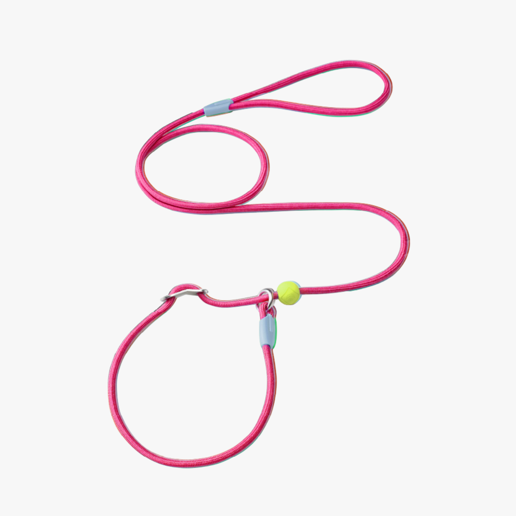Slip Lead Dog Leash – Candy Series