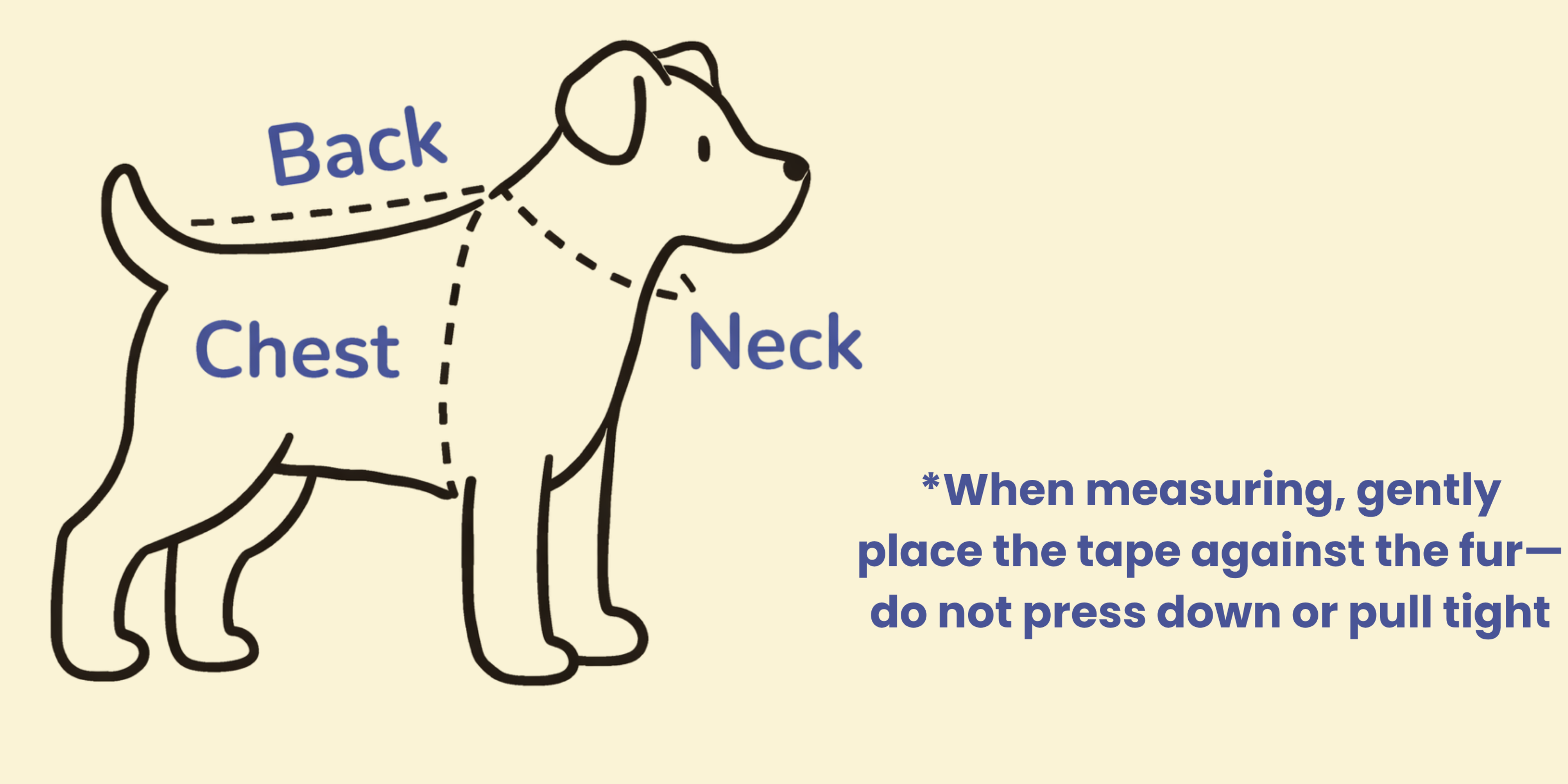 measure dog modal