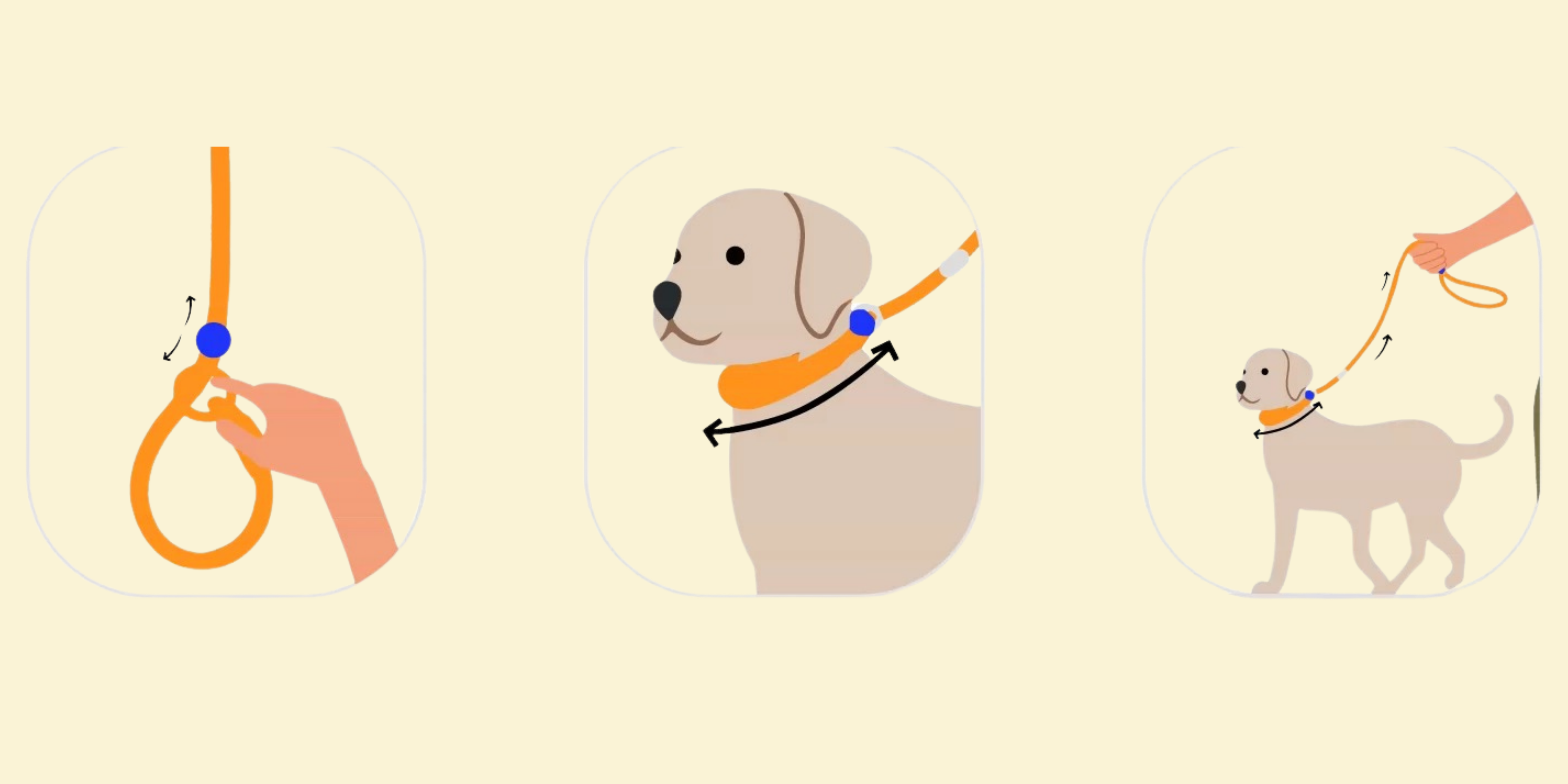 measure dog modal